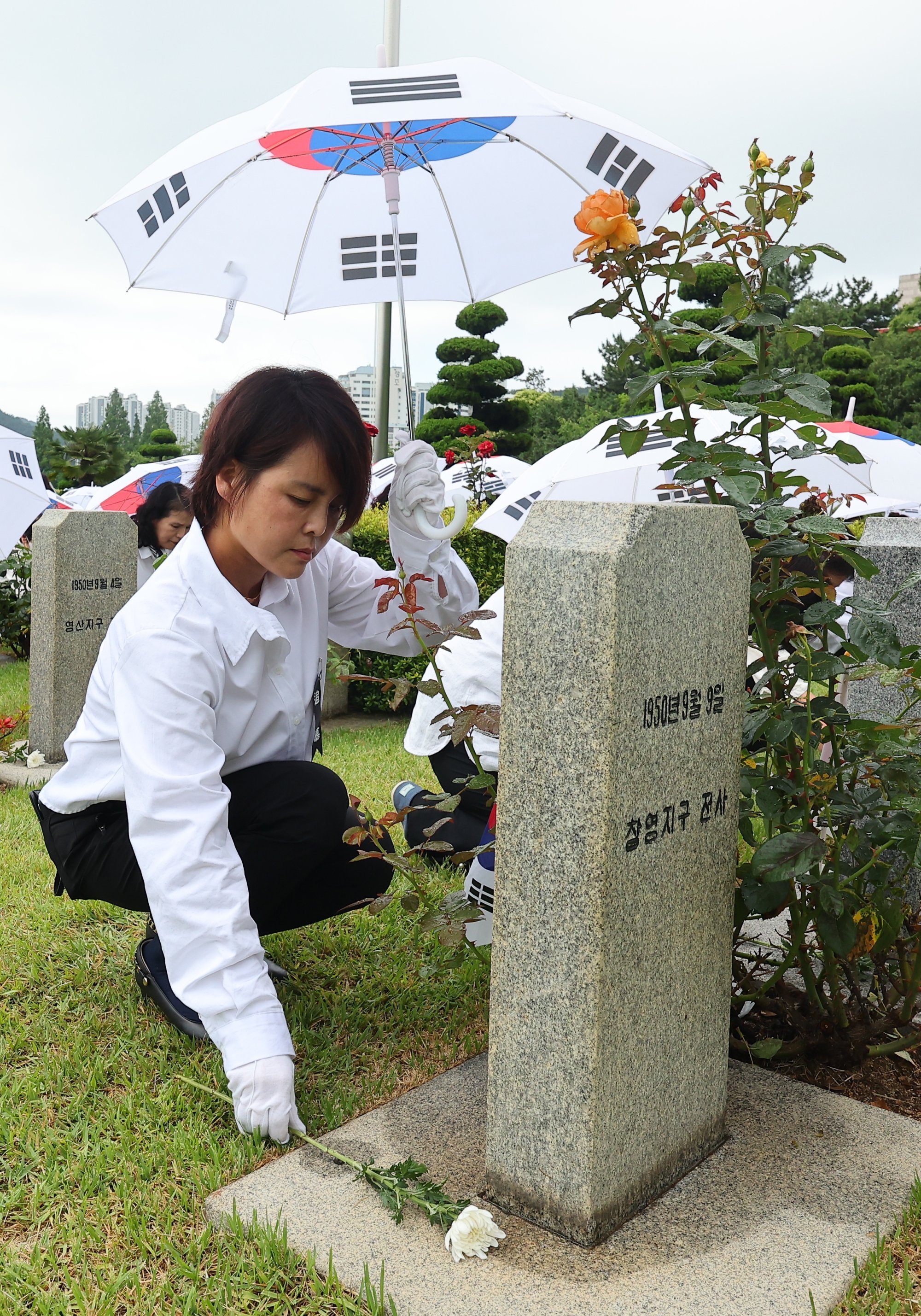 A mourner places a flower on an allied soldier’s grave in Busan, South Korea, on Thursday, during a ceremony to commemorate the 75th anniversary of the outbreak of the Korean war. Photo: Yonhap/EPA-EFE A mourner places a flower on an allied soldier’s grave in Busan, South Korea, on Thursday, during a ceremony to commemorate the 75th anniversary of the outbreak of the Korean war. Photo: Yonhap/EPA-EFE