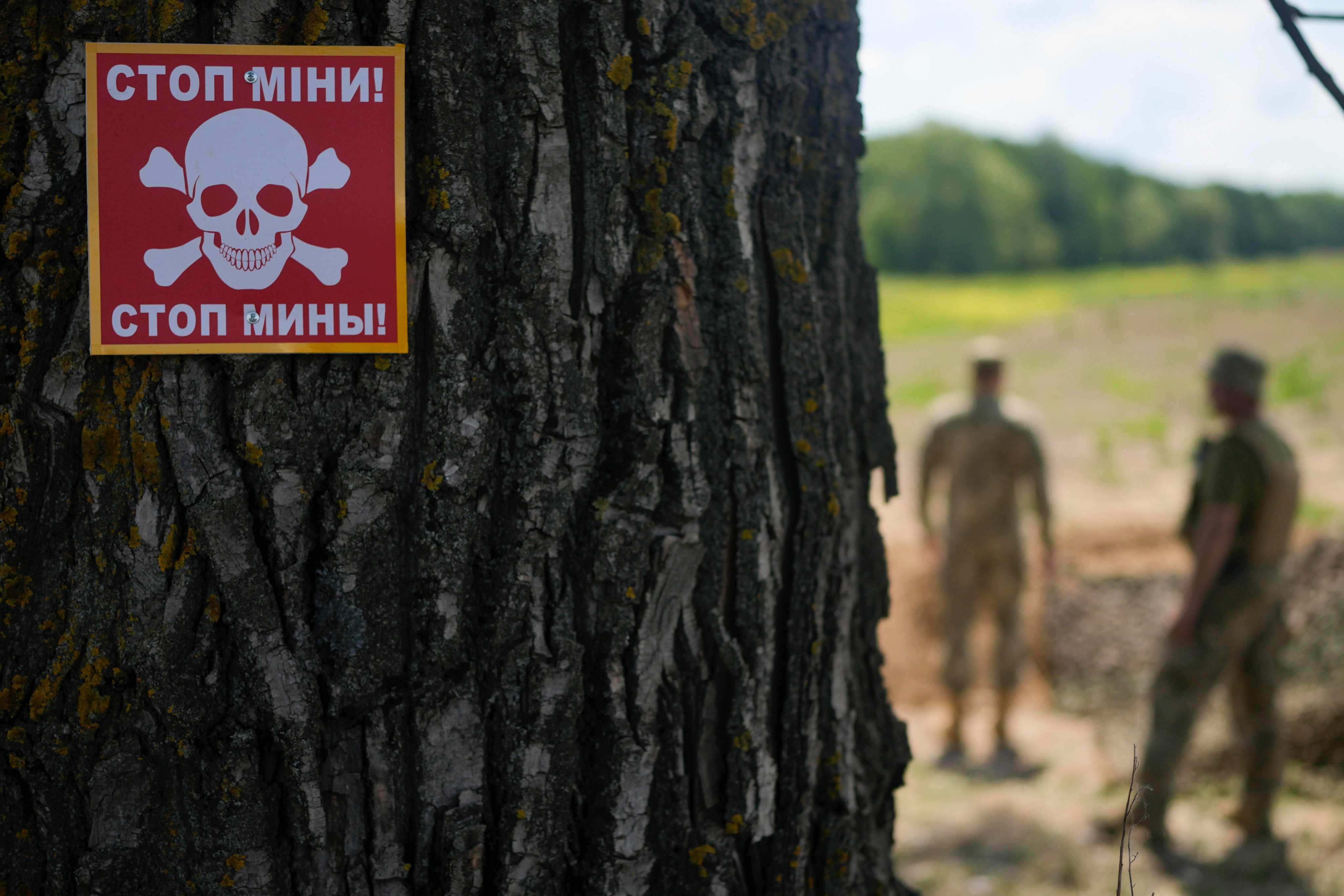 A notice warning about land mines is attached to a tree as a Ukrainian specialised team searches for mines in a field on the outskirts of Kyiv, Ukraine on June 9. Photo: AP