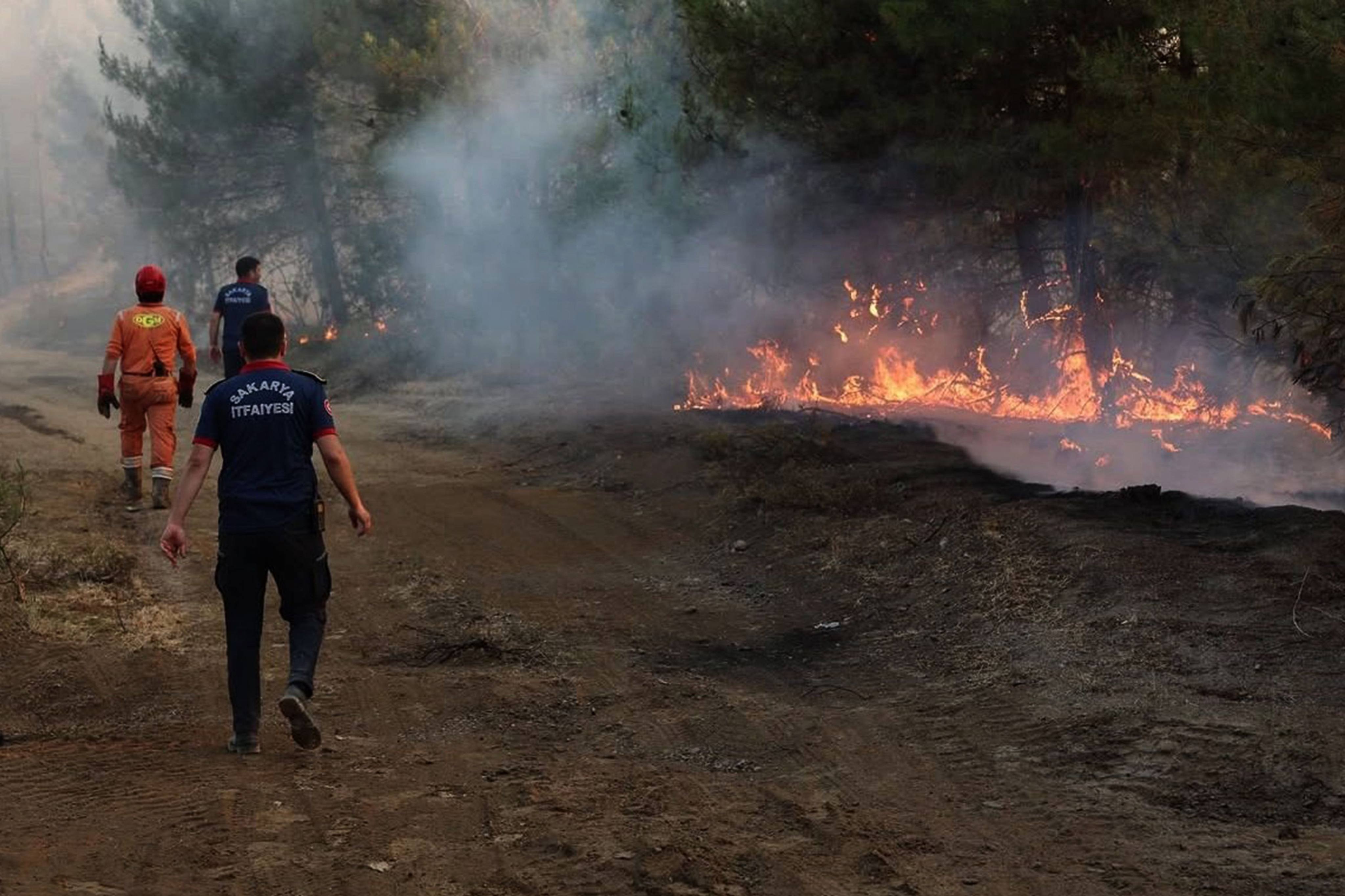 Crews work to extinguish a wildfire in Sakarya as more than 50,000 people have been evacuated as Turkish firefighters battle a string of wildfires. Photo: DHA/AFP
