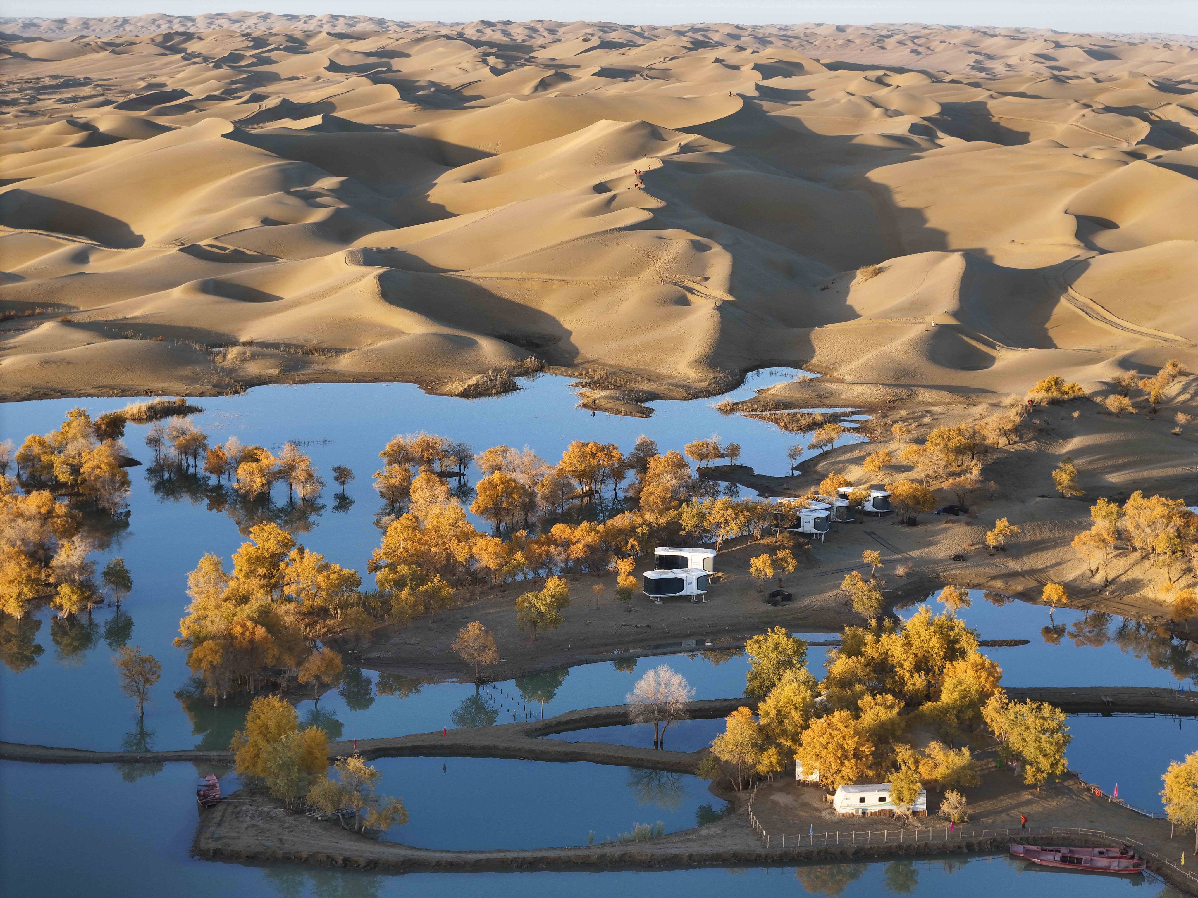 Aerial view of populus euphratica forest at Huludao, or Gourd Island in autumn on October 26, 2024 in Bayingolin Mongol Autonomous Prefecture, Xinjiang Uygur Autonomous Region of China. Photo: Xinhua