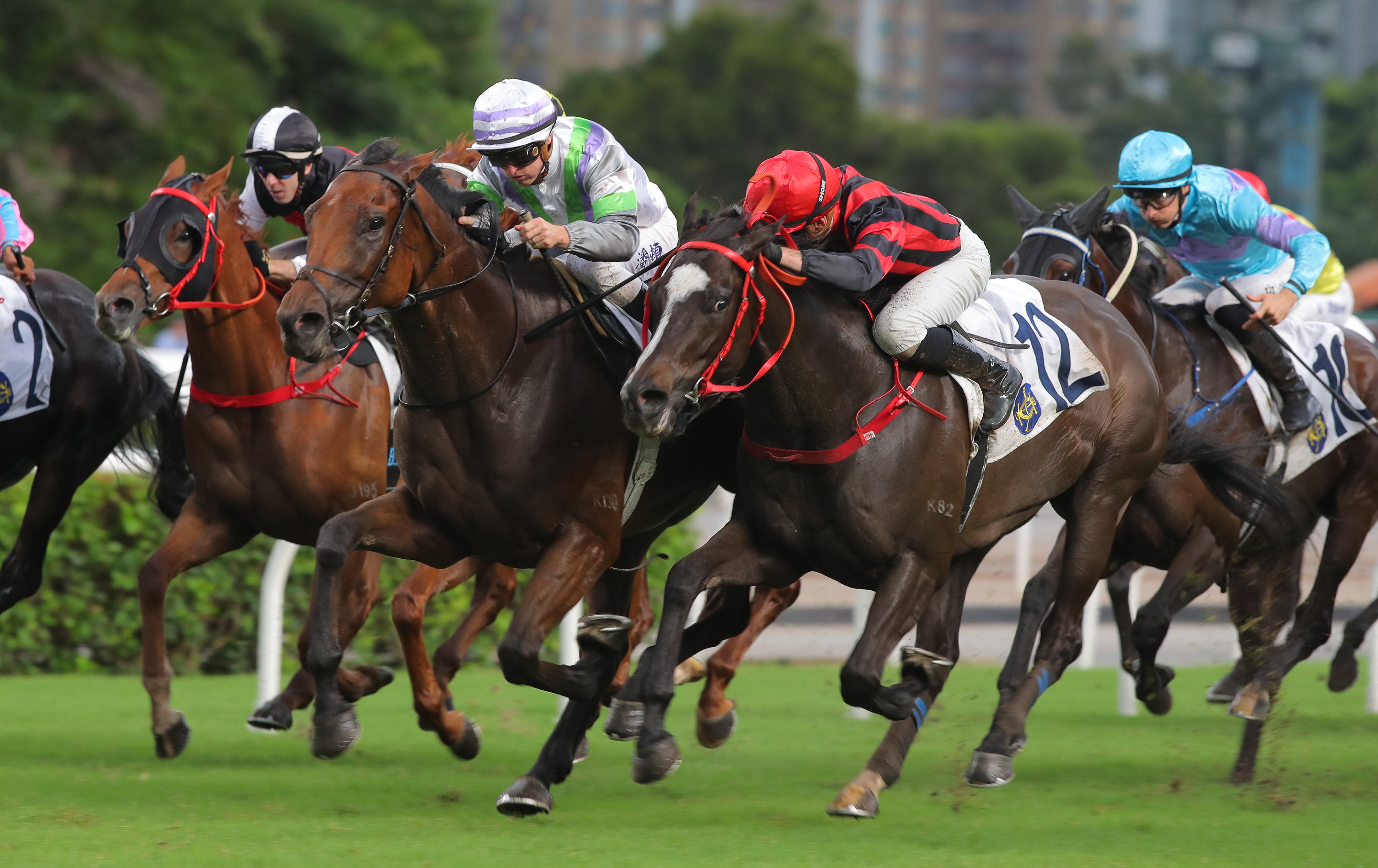 Light Years Charm (white and purple cap) fends off Mickley (red and black) in a tight finish at Sha Tin. Photos: Kenneth Chan