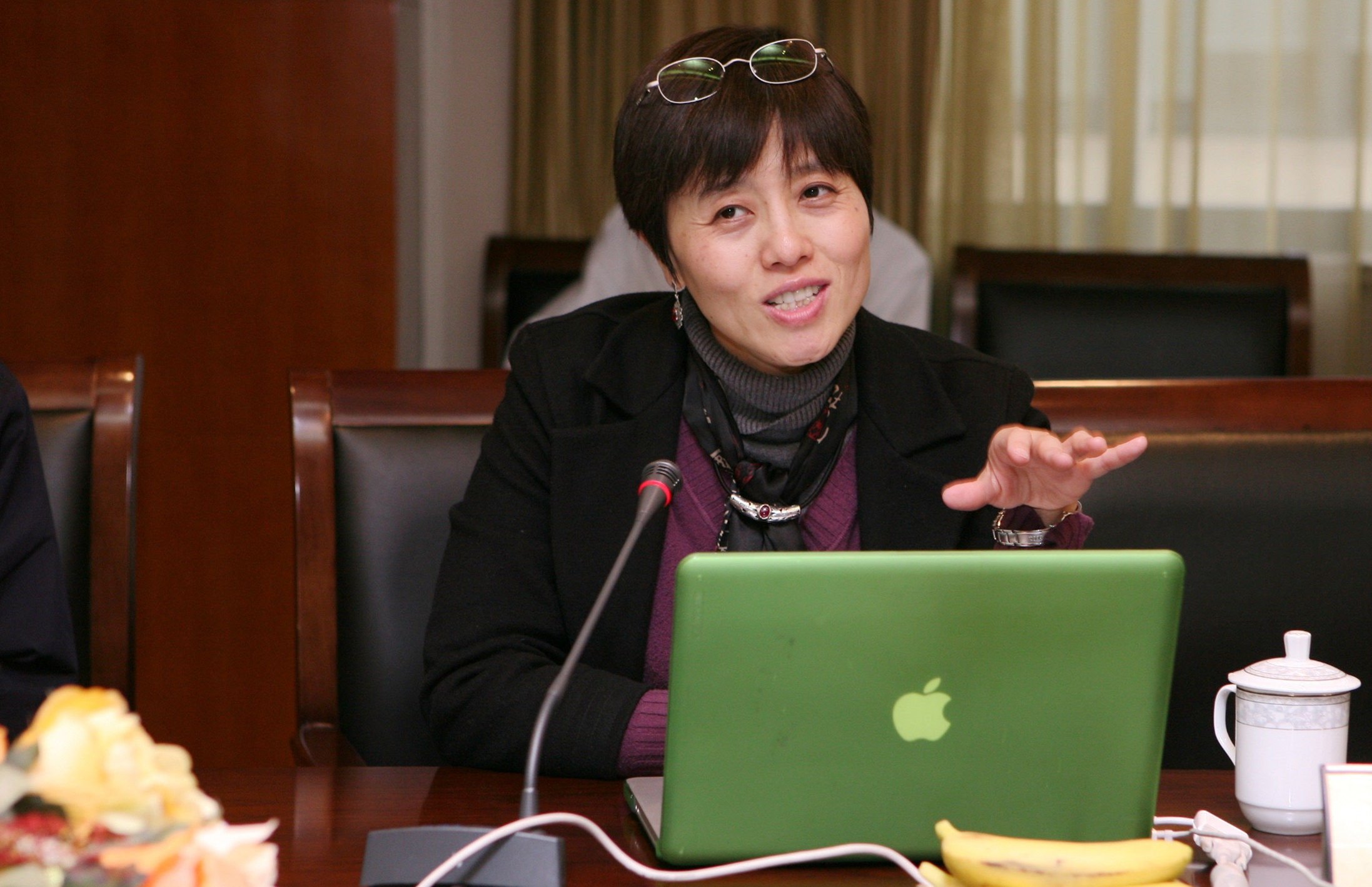Chinese-born molecular biologist Jane Wu was a prominent neuroscientist at Northwestern University, Illinois before her death in July 2024. Photo: Baidu