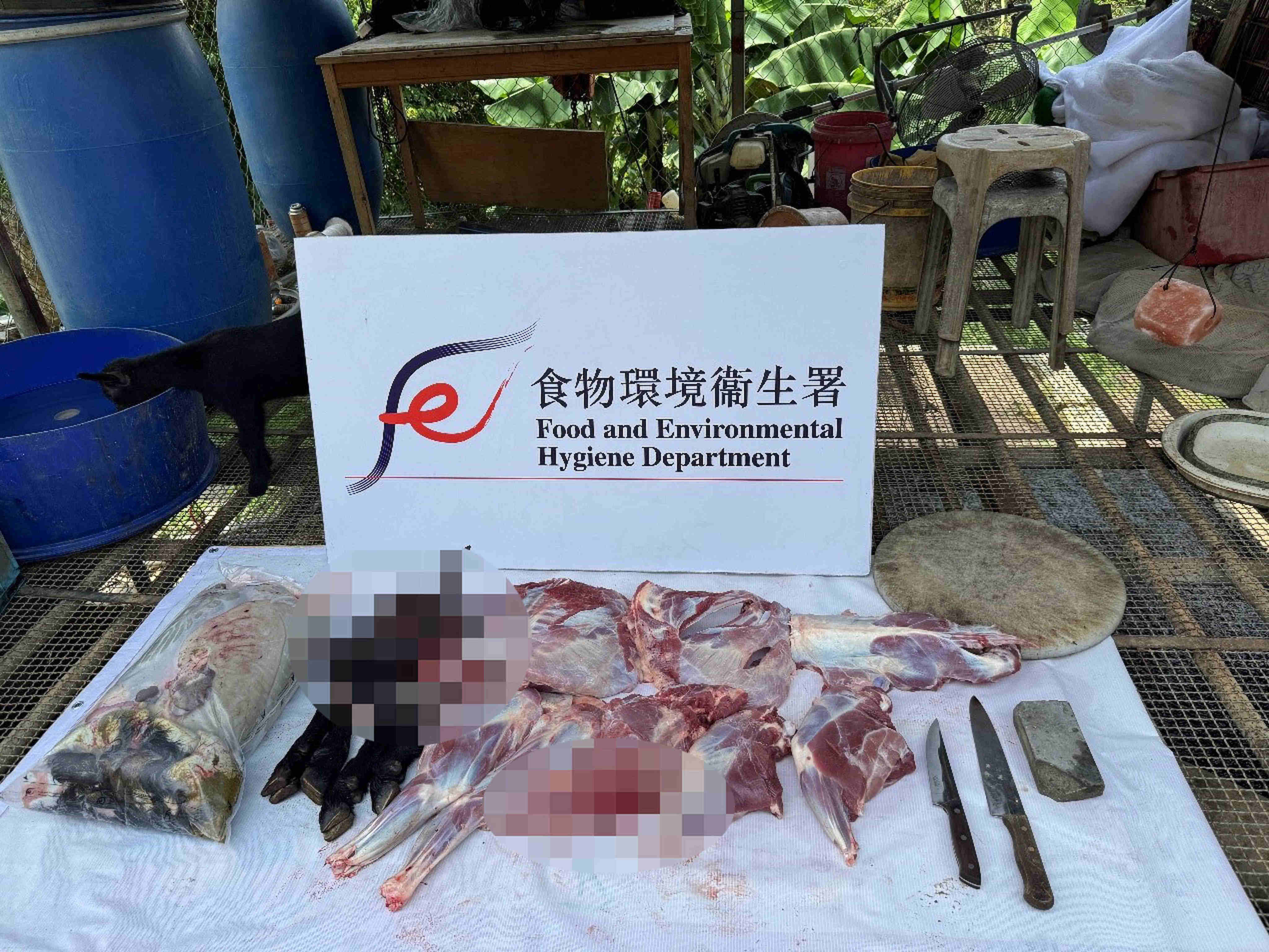 A 51-year-old Hong Kong resident has been arrested for operating an illegal slaughterhouse in Yuen Long.  Photo: Handout
