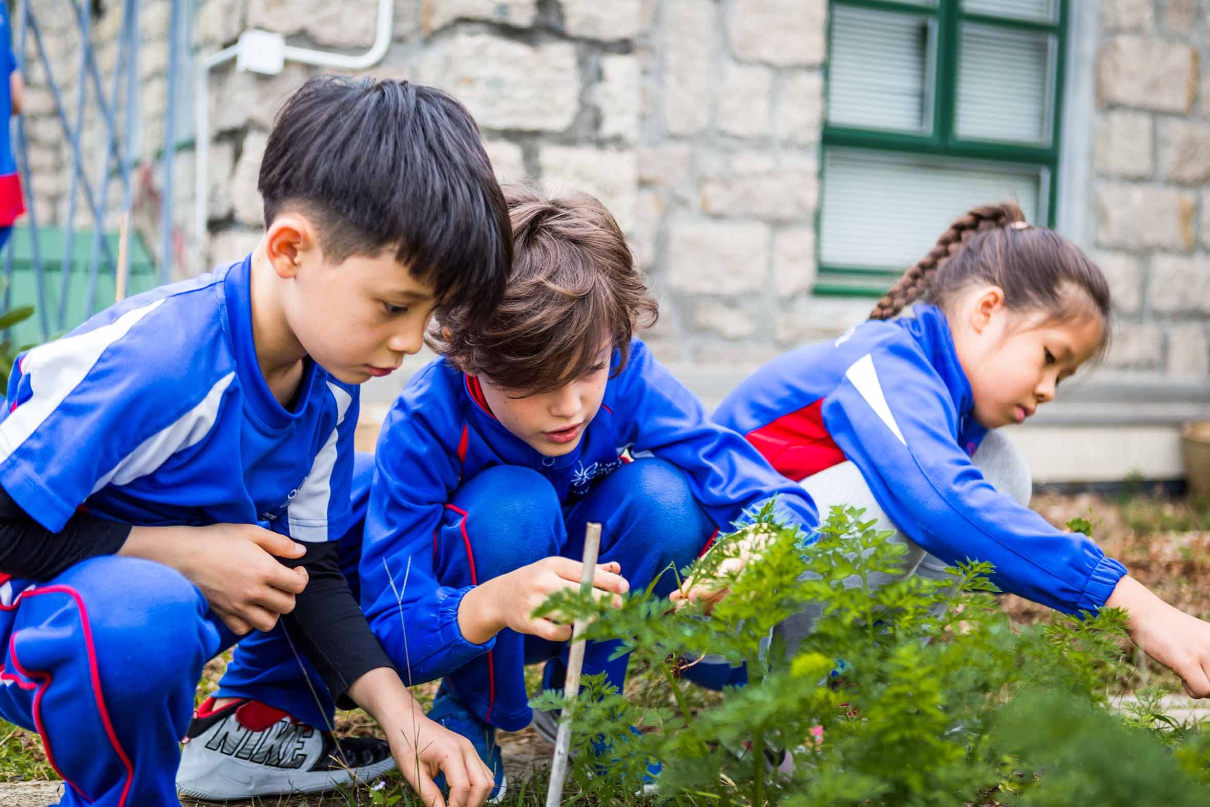 Teaching students AI skills allows them to unlock new levels of creativity. Photo: French International School