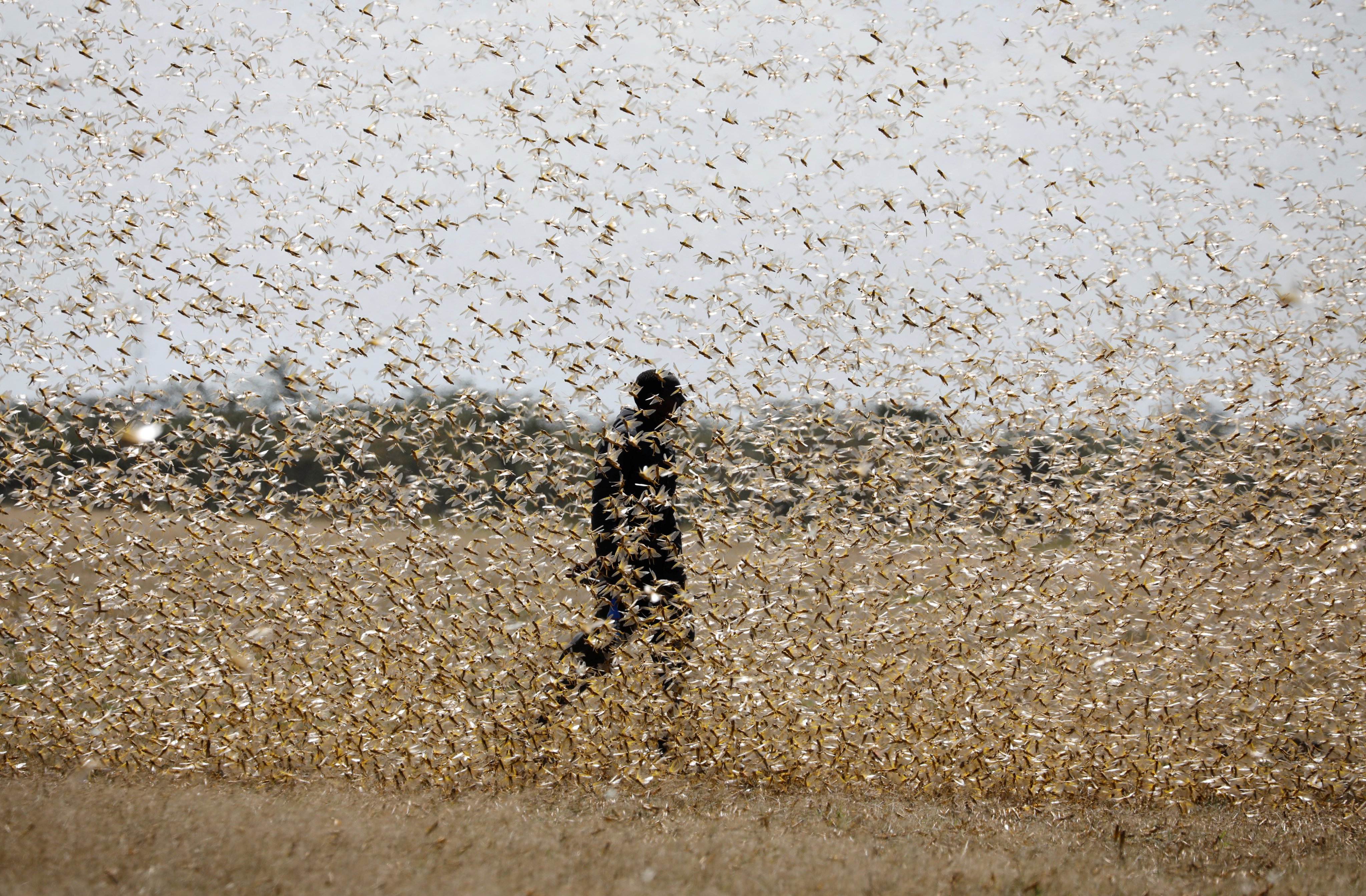Strong financial support and a commitment to agricultural research have helped China to develop world-class entomological radar technology, a draw for top scientists. Photo: Reuters