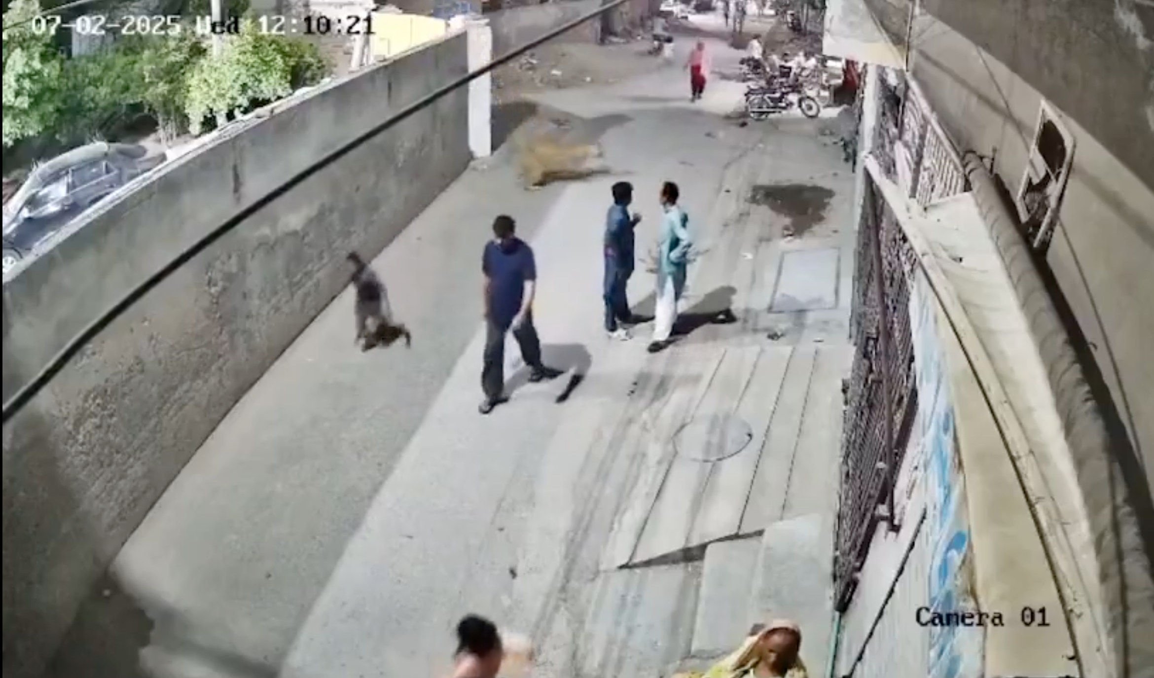 An escaped pet lion chased people down a street in Pakistan’s Lahore, with CCTV footage released by the police showing the animal jumping the barrier around its home. Photo: Handout