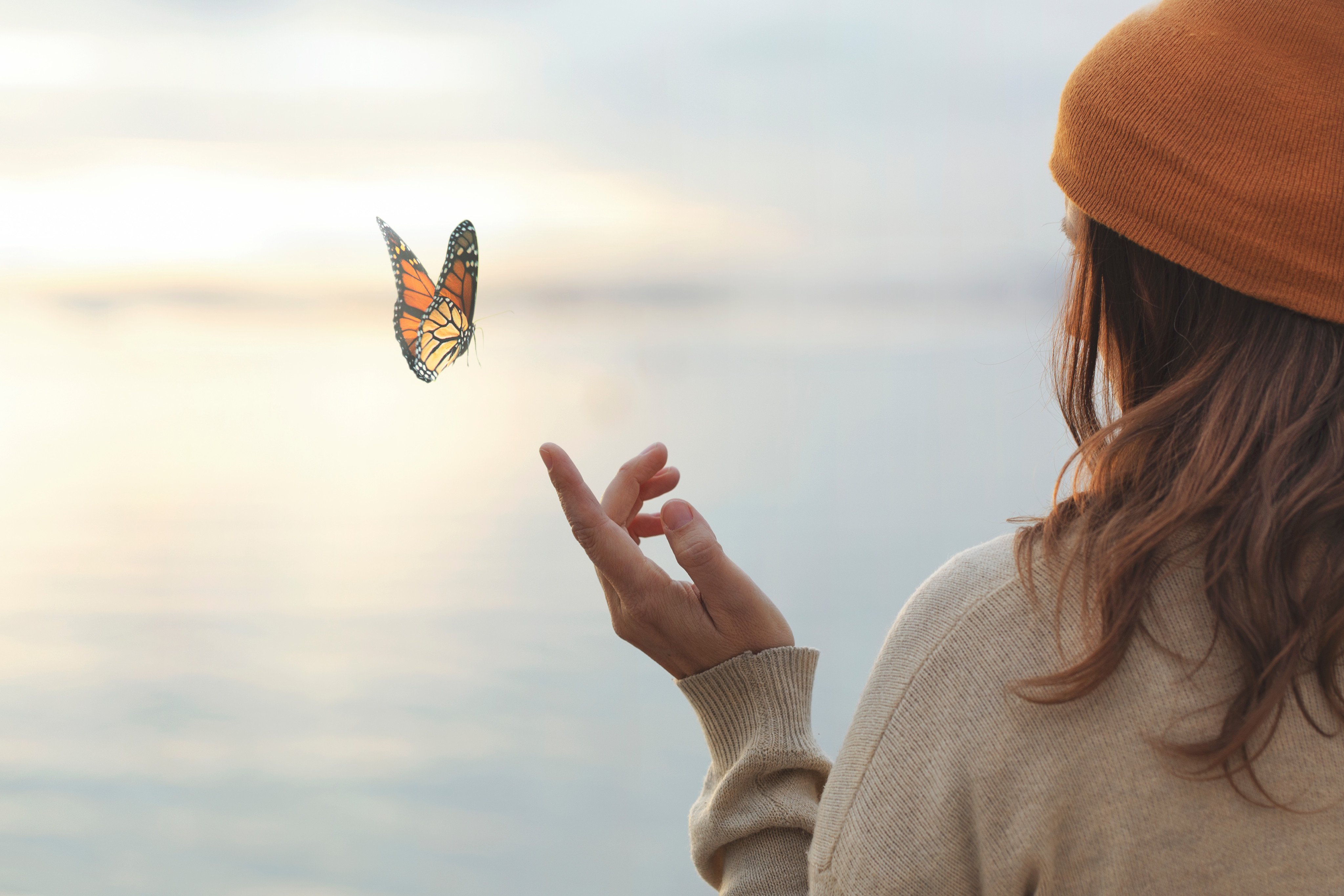 Psychotherapist and bereavement expert John Tsilimparis suggests that grieving be viewed as a process rich with meaning, growth and beauty that can transform someone experiencing loss.
Photo: Shutterstock