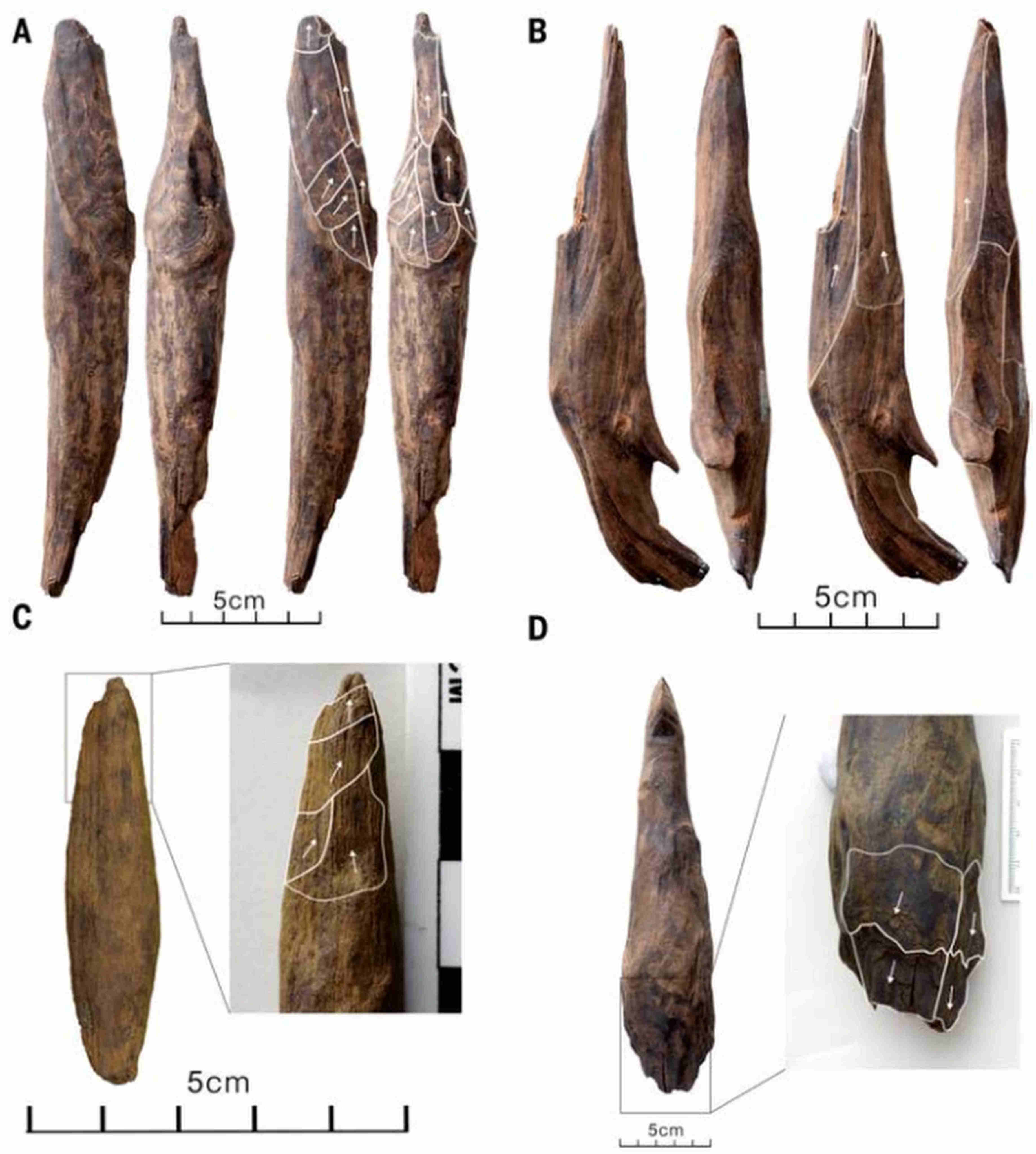 Artefacts unearthed in Yunnan province suggest wooden tools were widely used in southwest China 300,000 years ago. Photo: Handout