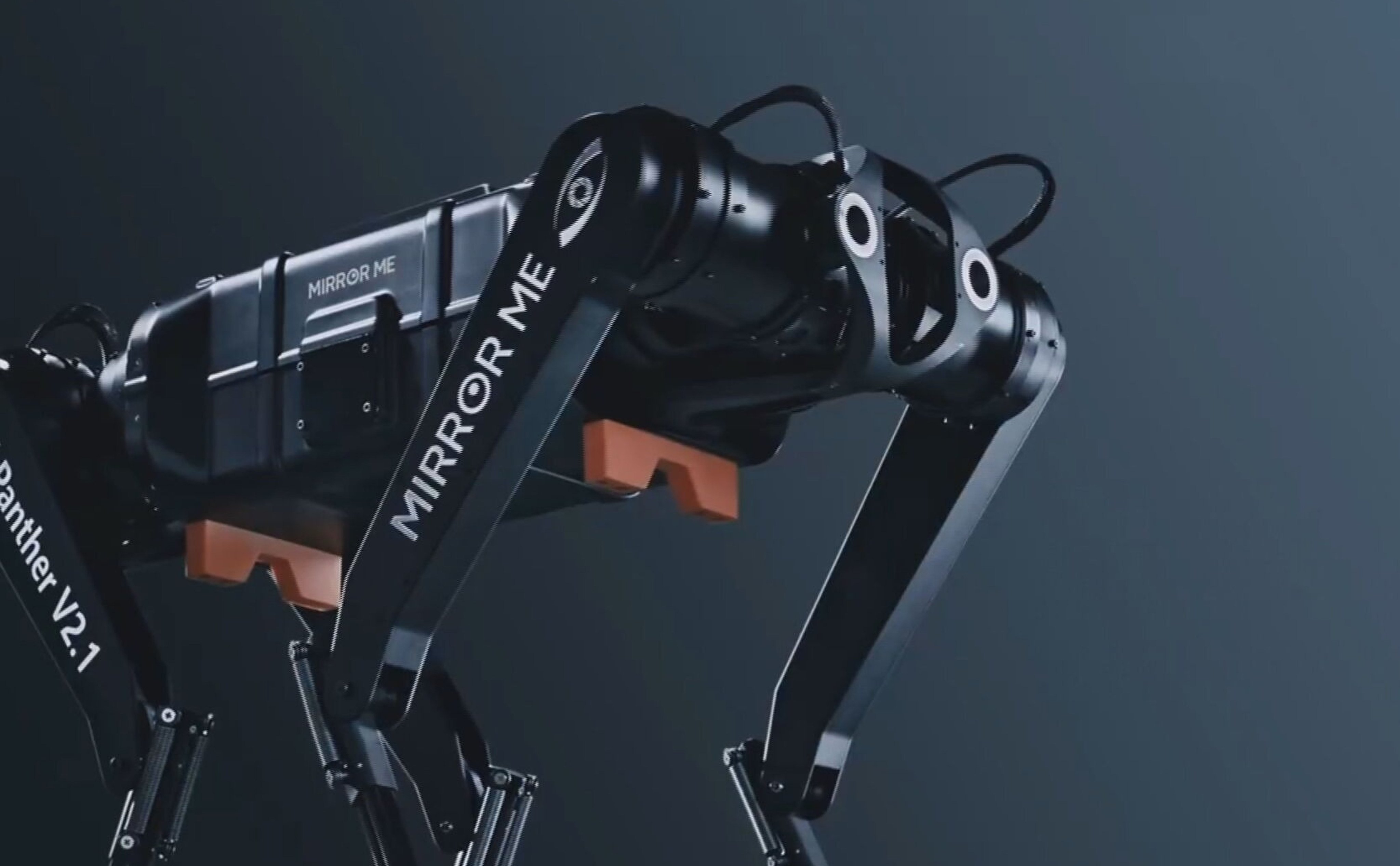 A four-legged robot developed by Mirror Me completed a distance of 100 metres in 13.17 seconds. Photo: Handout