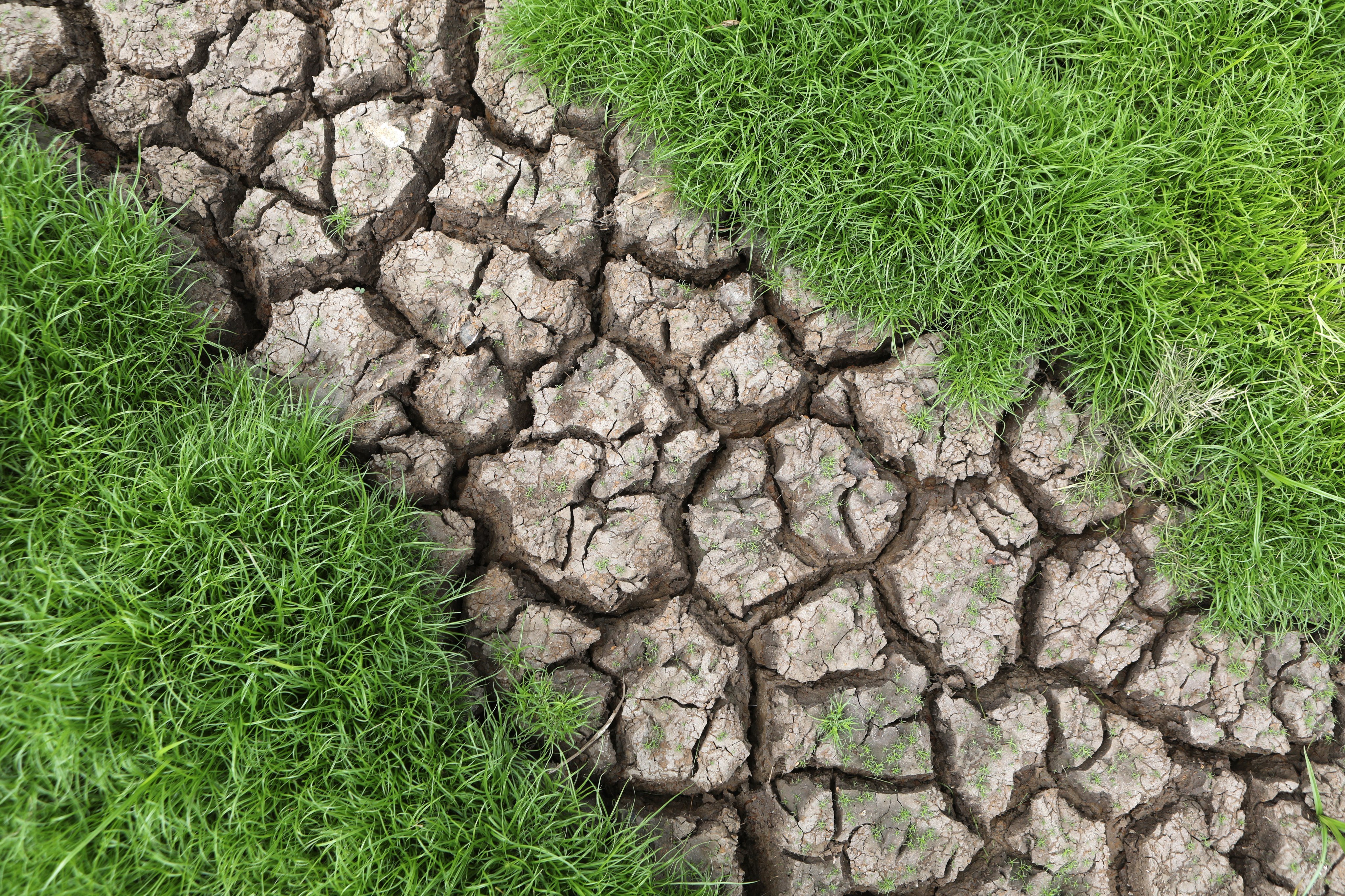 Extreme climate and drought are threatening the chip industry, according to a new report from PwC. Photo: EPA-EFE
