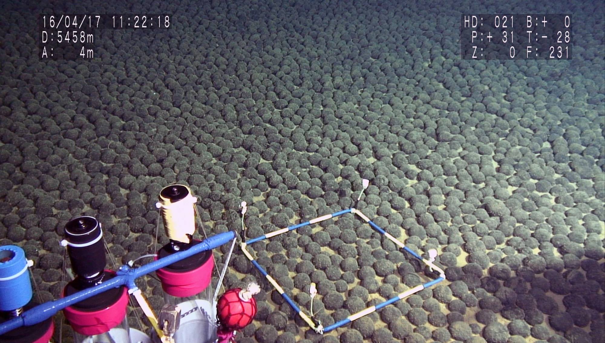 Manganese nodules pictured in 2016 near Minamitorishima. Photo: Jamstec / AFP Manganese nodules pictured in 2016 near Minamitorishima. Photo: Jamstec / AFP