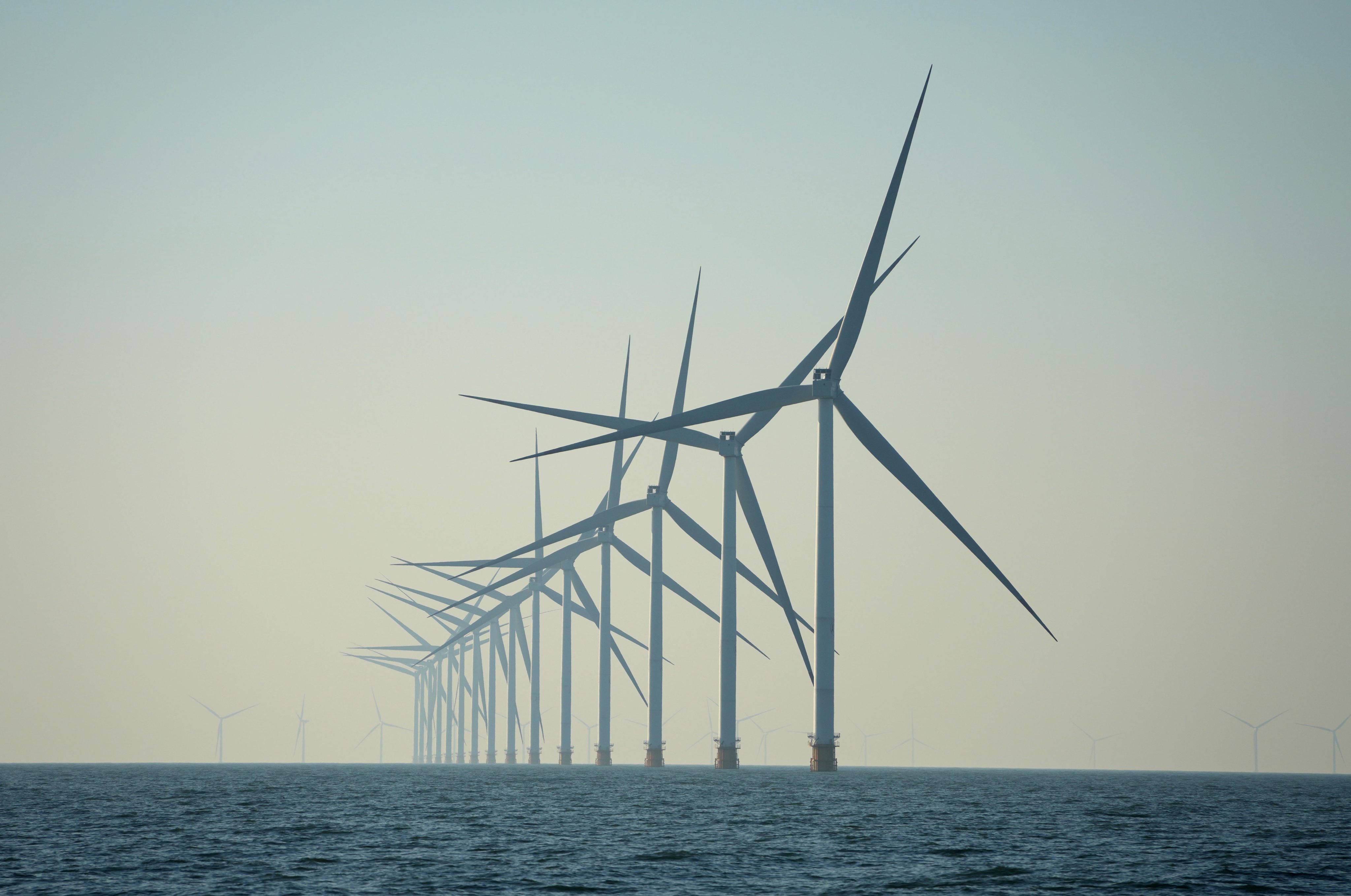 Offshore wind turbines stand in the waters of Laizhou City, in east China’s Shandong Province, on January 7, 2025. Photo: Xinhua