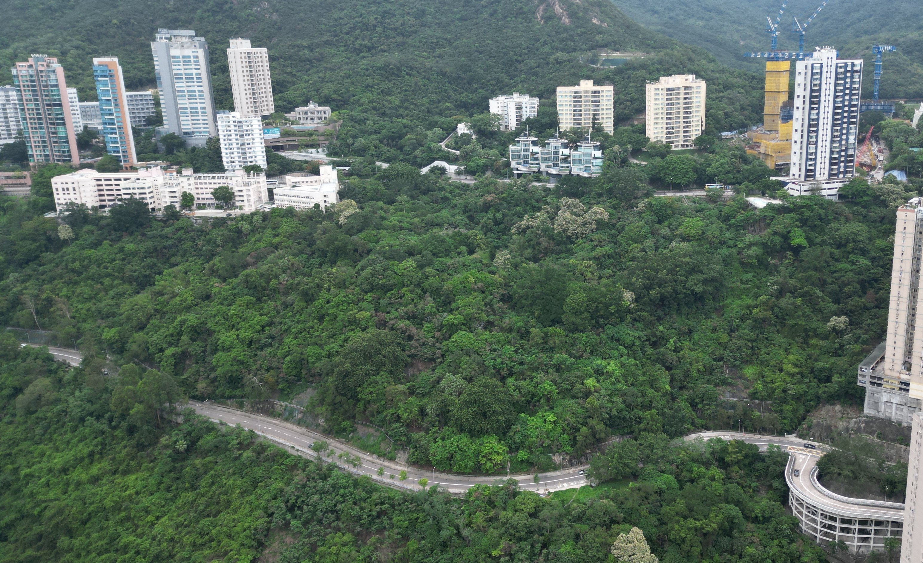 The initial proposal also met with backlash over plans to build on a green belt in the area. Photo: Dickson Lee