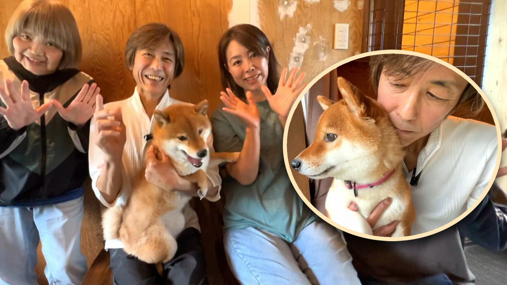 A Japanese man sold his luxury sports car to help fund a shelter for difficult dogs in a move to repay the pet canine that saved his life. Photo: SCMP composite/fnn.jp