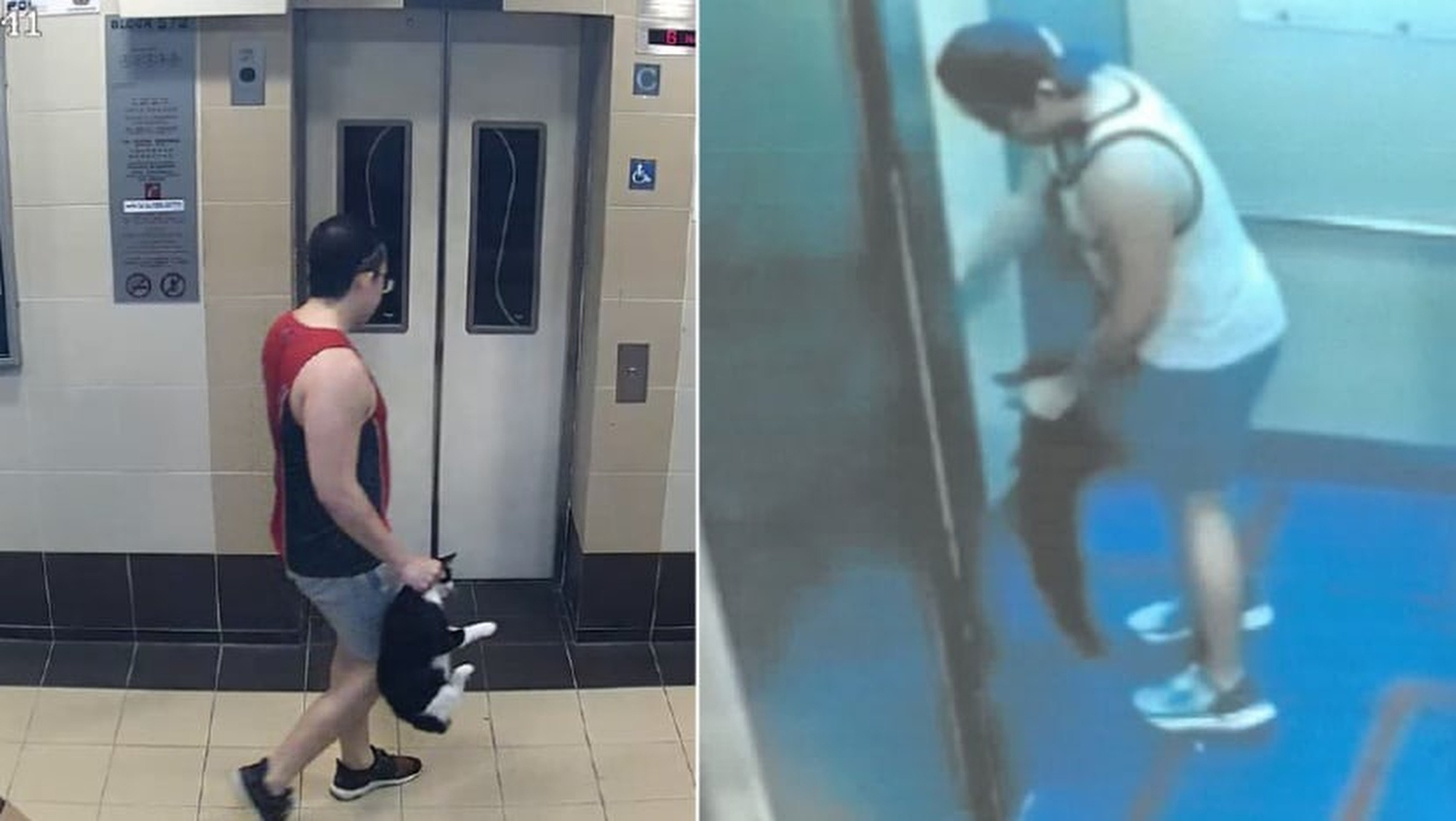 Barrie Lin Pengli seen in police camera footage with the two cats he threw down from public housing blocks. Photo: Handout