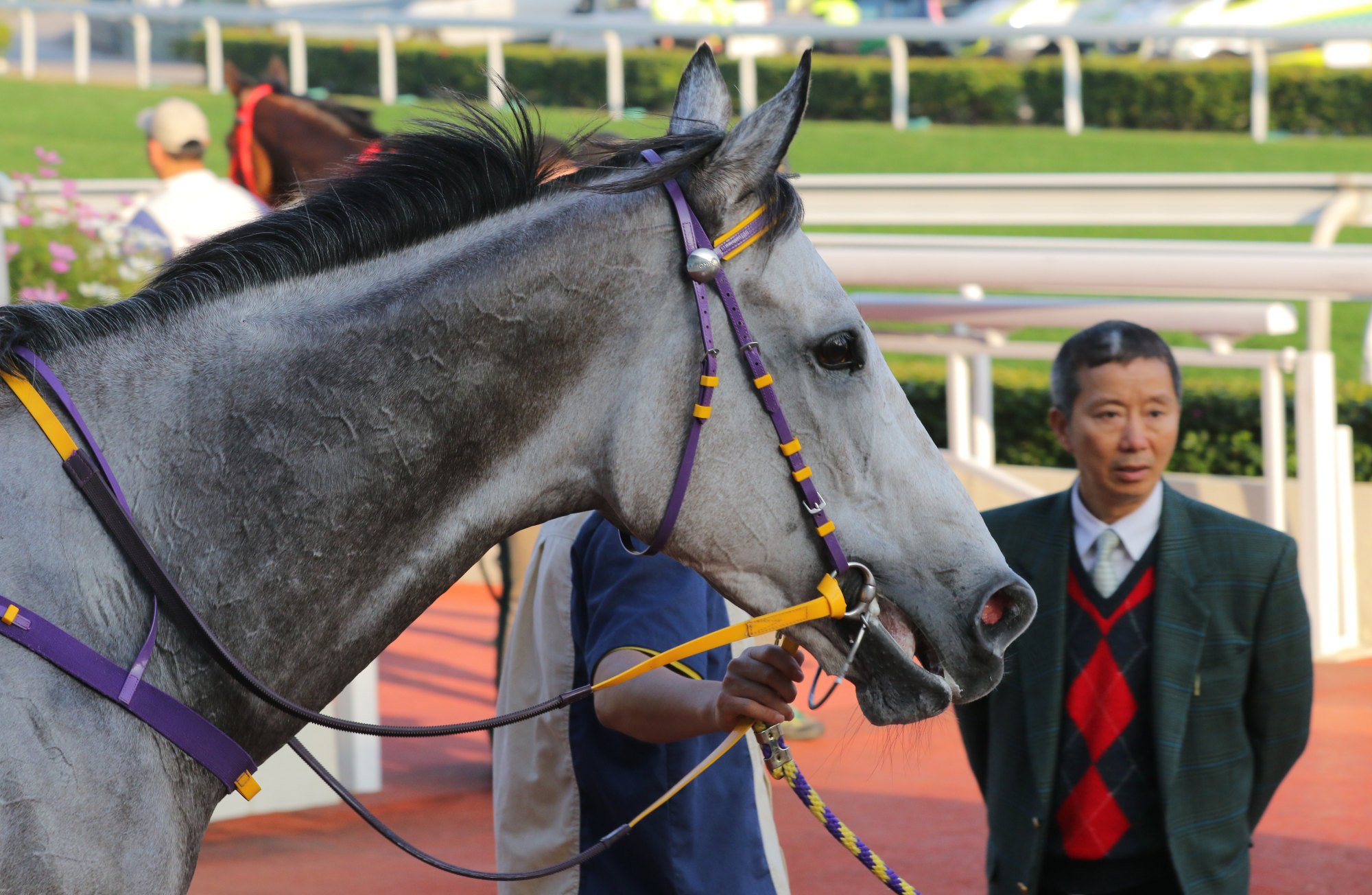 Benno Yung with Pingwu Spark after a 2018 victory.