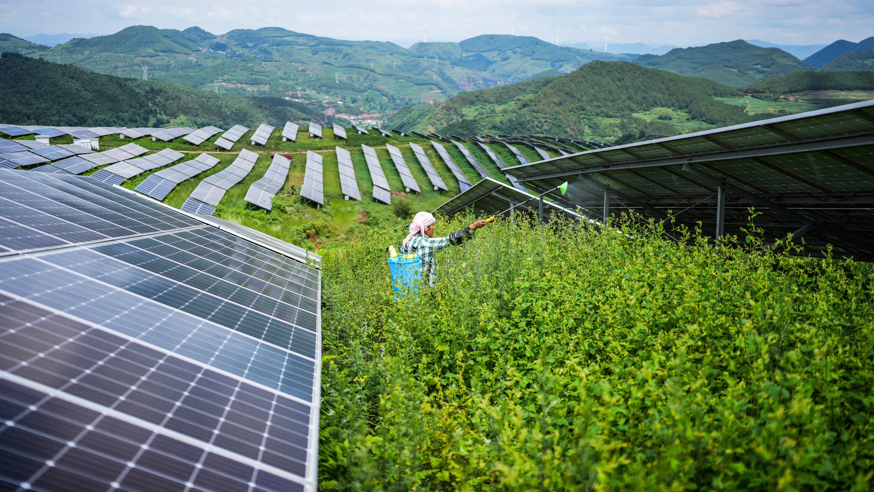 A farmer works on July 3 amid photovoltaic panels at a solar power station in the Yi-Hui-Miao autonomous county of southwest China’s Guizhou province. Photo: Xinhua