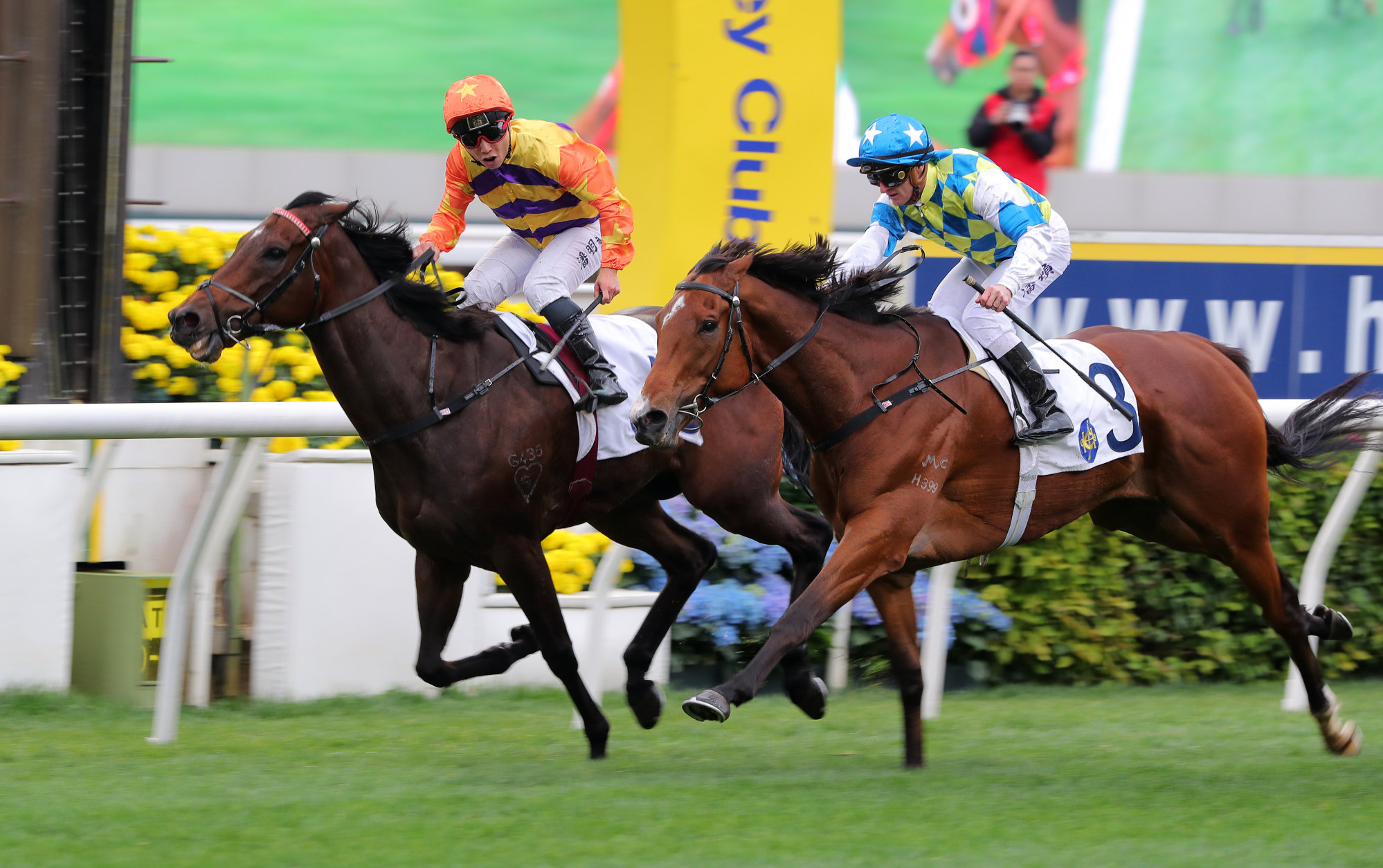 Matthew Poon was a Group Two winner at Sha Tin earlier this season.