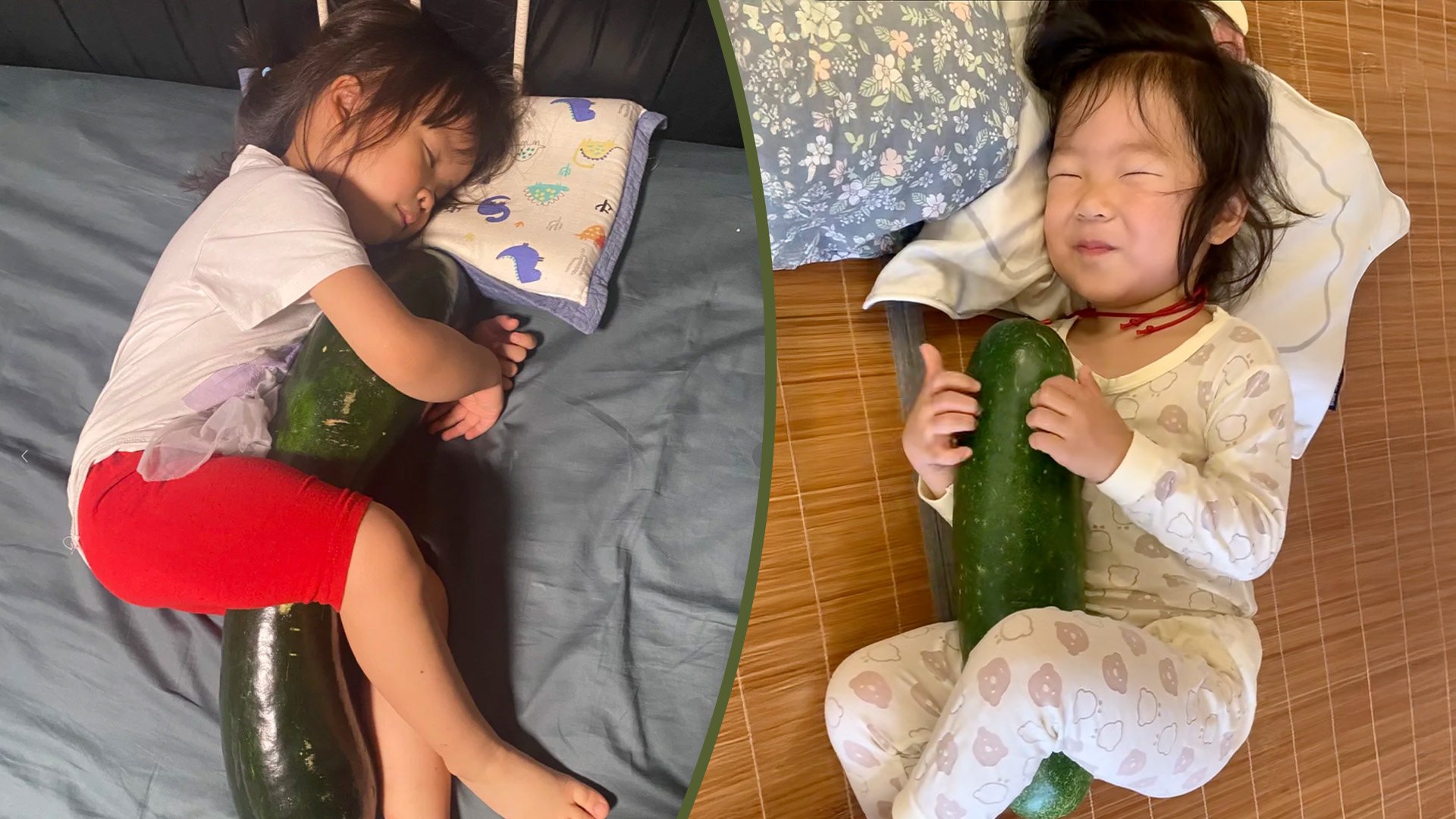 A trend in China features kids and pets cuddling with oversized winter melons to keep cool at night. Photo: SCMP composite/RedNote