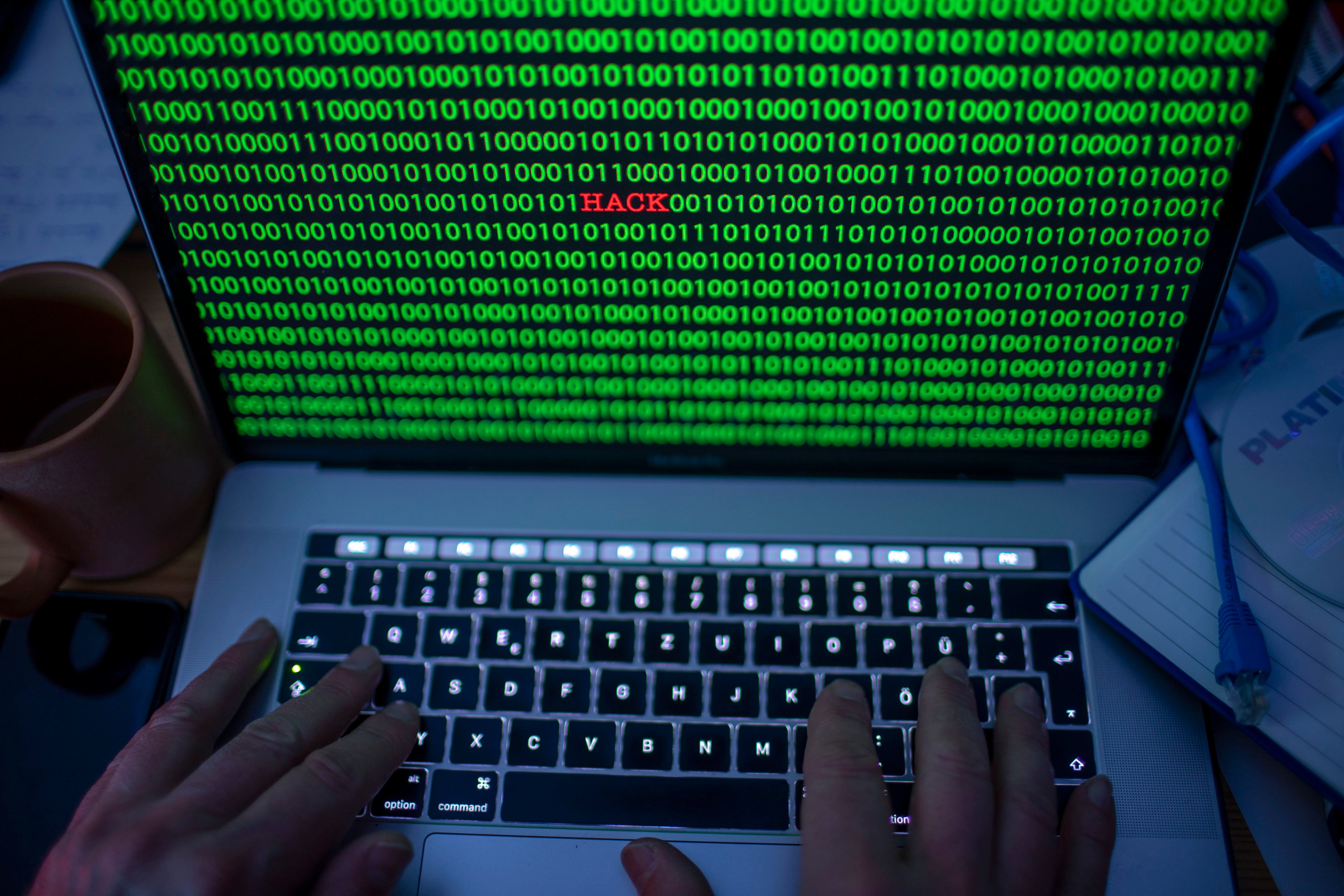 The network, known as NoName057(16), was disrupted following raids in 12 countries. File photo: dpa