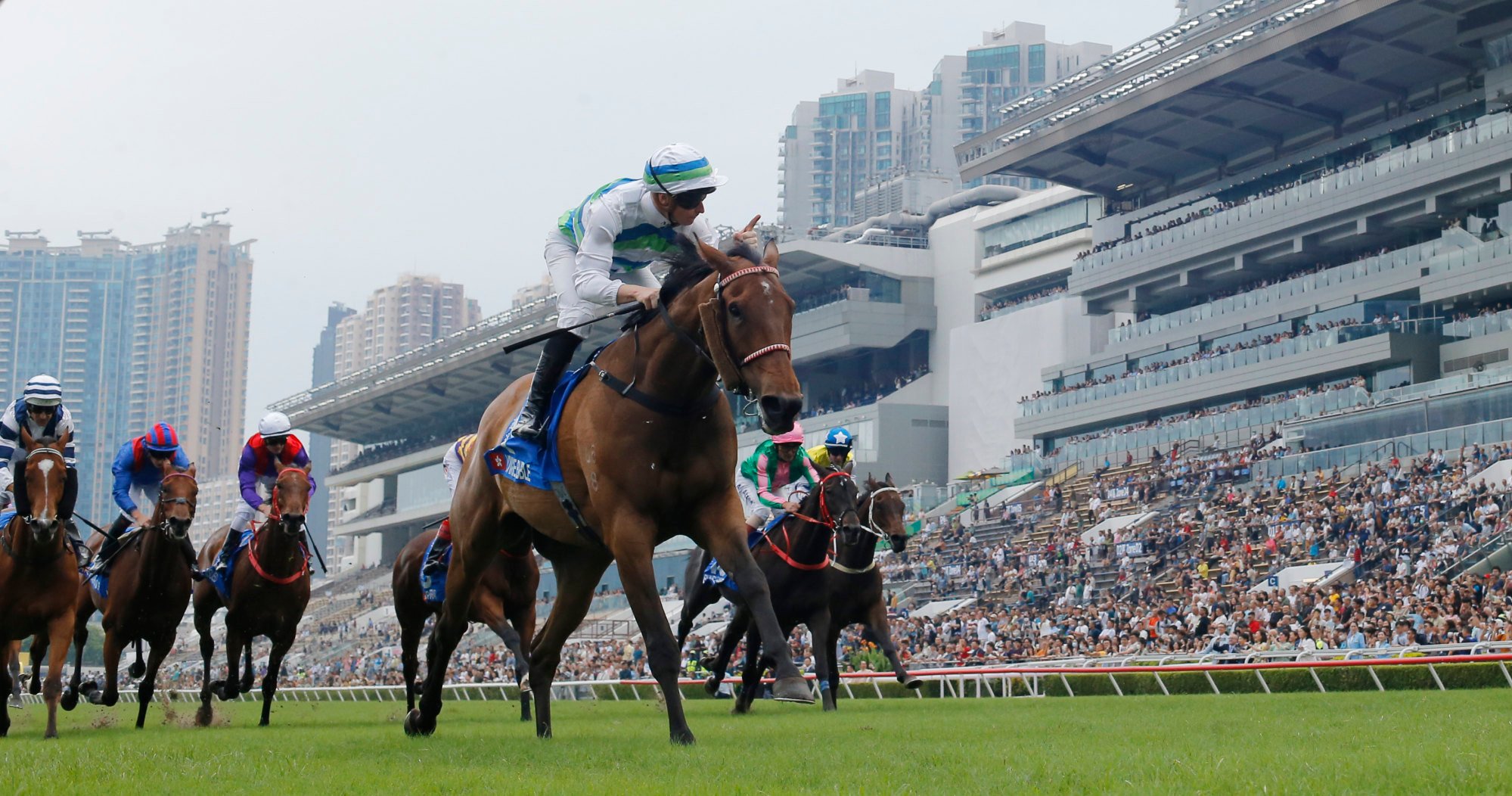 The exploits of Voyage Bubble (pictured), Ka Ying Rising and Romantic Warrior helped bring Hong Kong racing into the mainstream once again. The exploits of Voyage Bubble (pictured), Ka Ying Rising and Romantic Warrior helped bring Hong Kong racing into the mainstream once again.