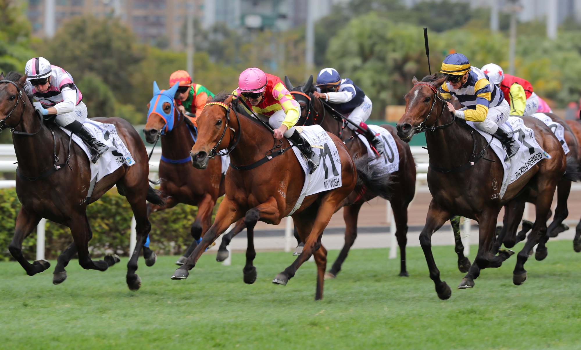 My Wish (11) and Luke Ferraris win the Hong Kong Classic Mile at the Chinese New Year Raceday. My Wish (11) and Luke Ferraris win the Hong Kong Classic Mile at the Chinese New Year Raceday.