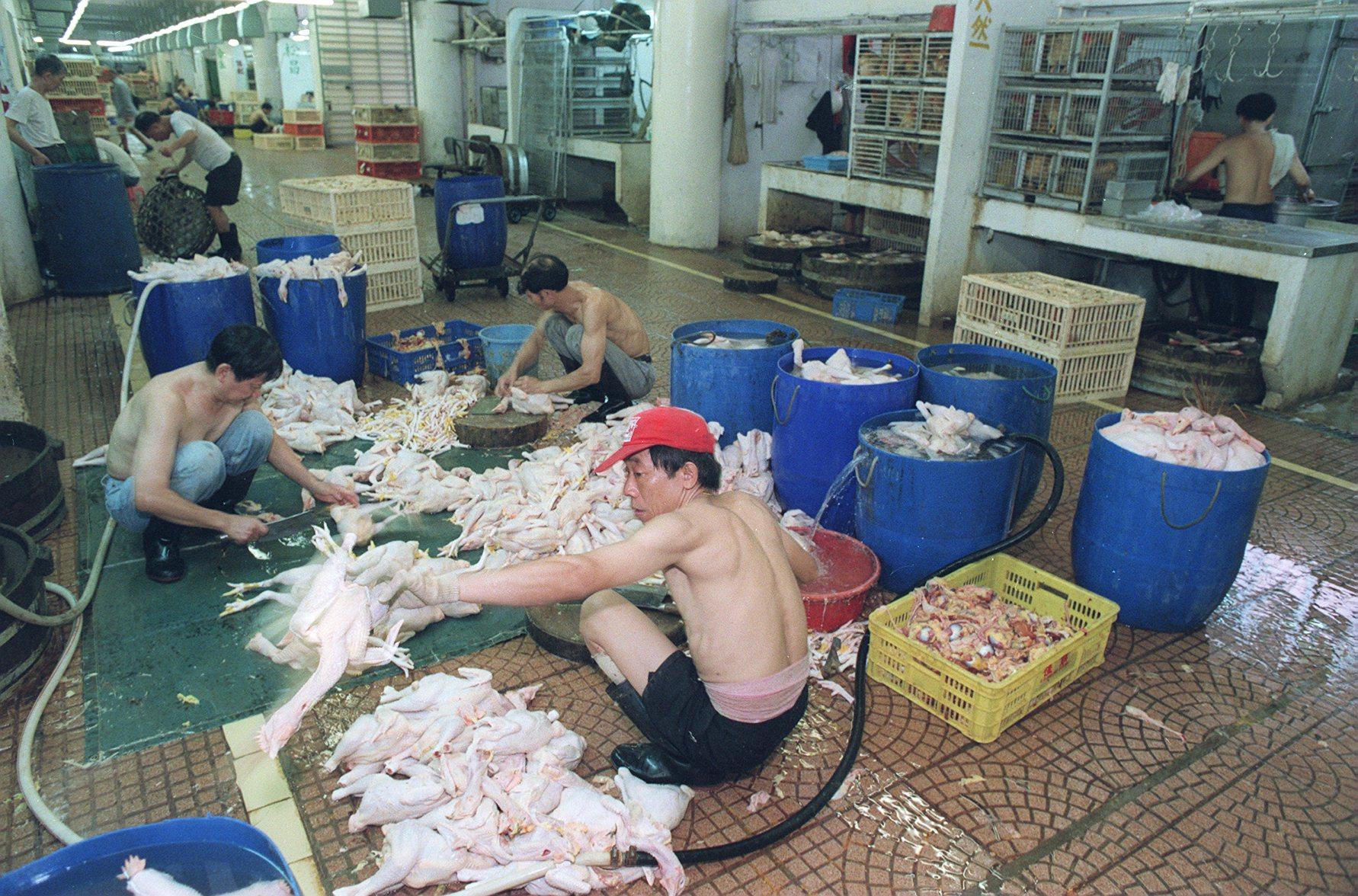 Workers prepare chickens before the market opens in August 1998. Photo: SCMP Archives