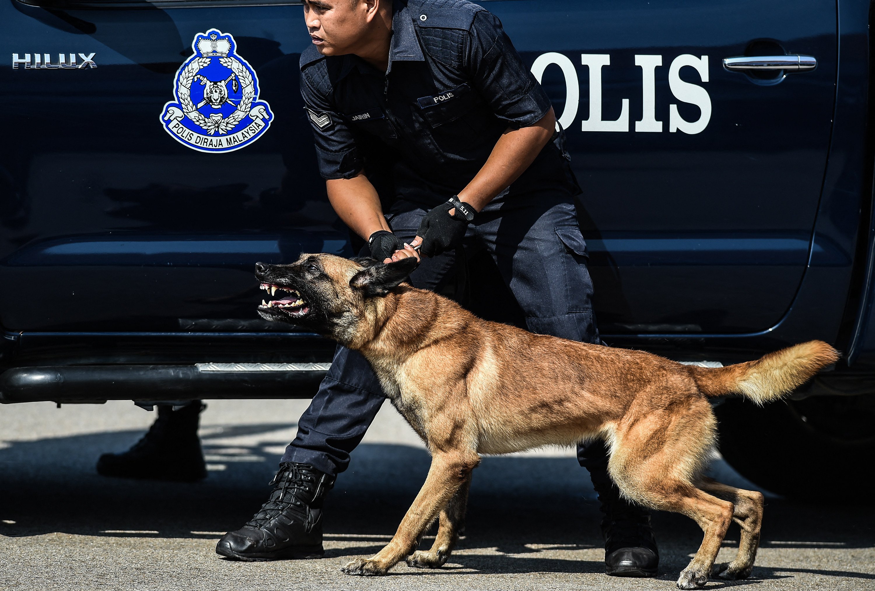 A police dog from a K-9 unit takes part in a Police Day parade in Malaysia. The latest violent incident unfolded in Seri Alam township, less than an hour’s drive from the Singapore border. Photo: AFP
