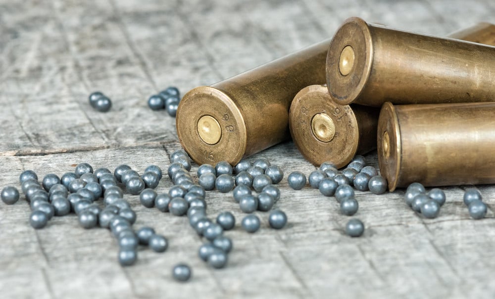 South Korean police recovered a cache of explosive devices from the suspect’s home. Photo: Shutterstock