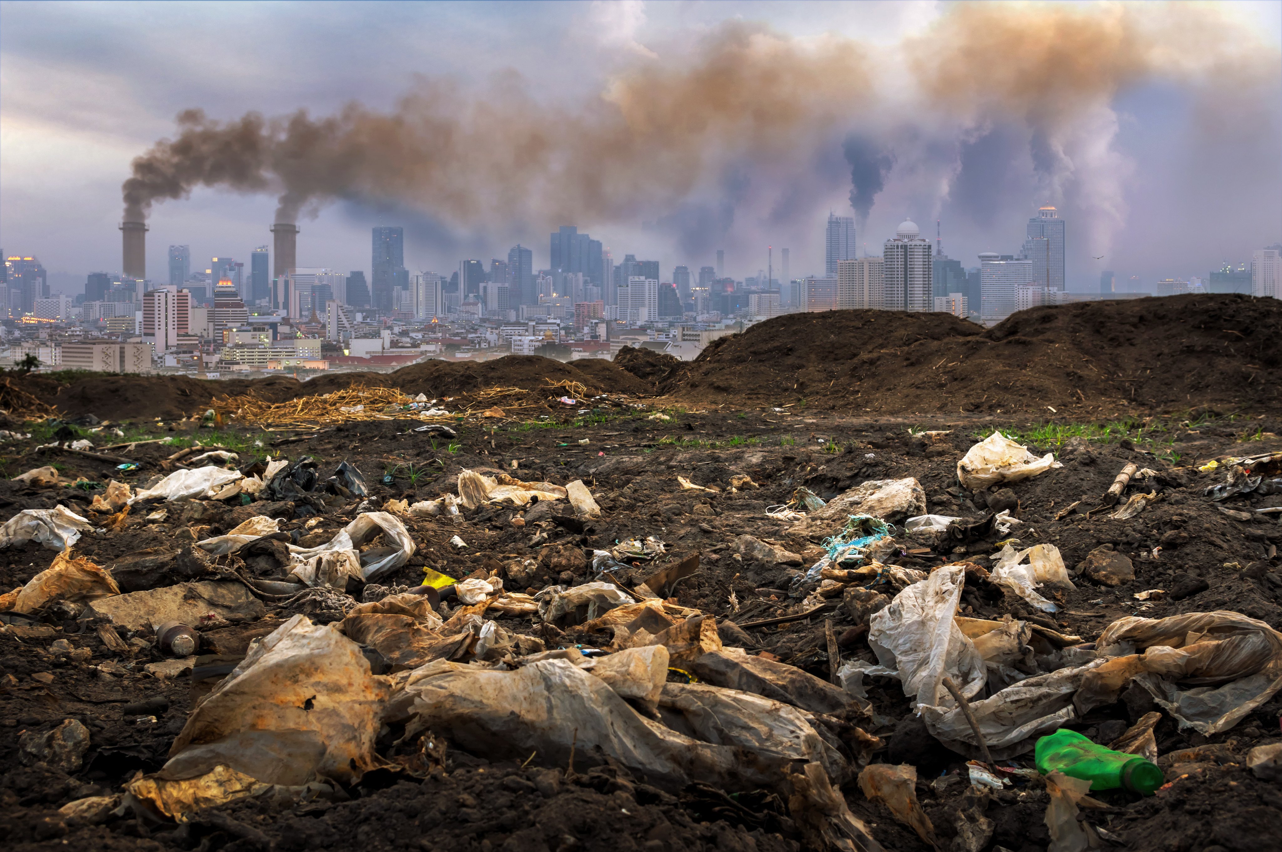 The UN’s top court says failing to protect planet from climate change could violate international law. Photo: Shutterstock