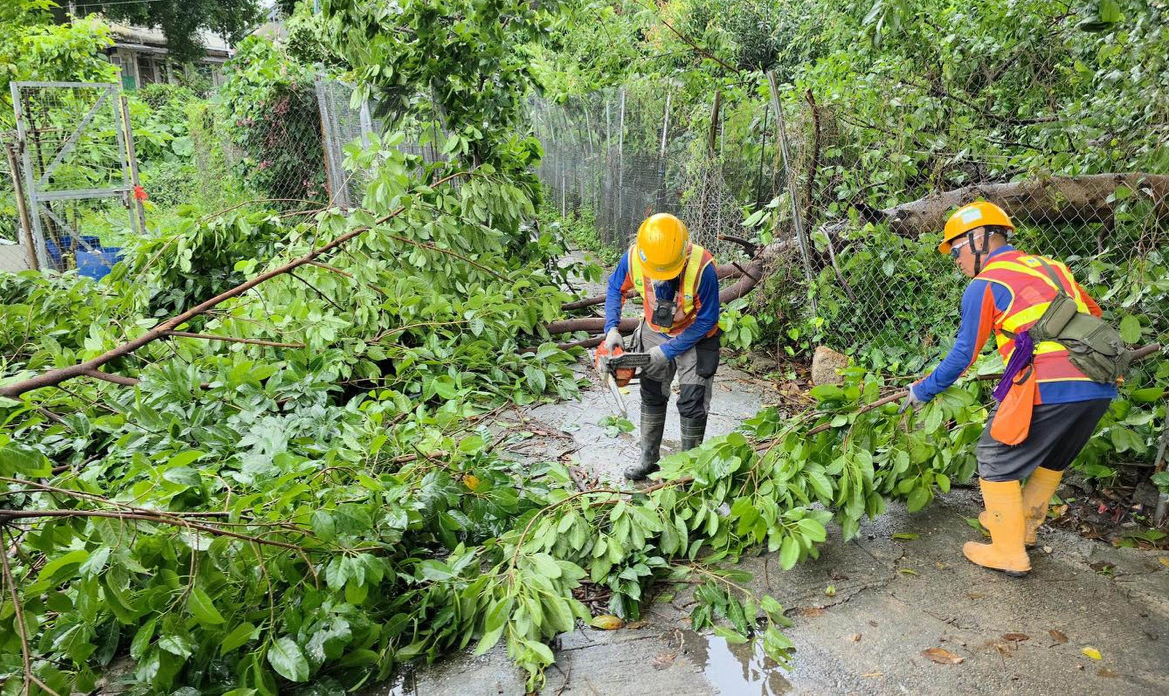 Government workers cut up fallen branches using a chainsaw. Photo: Handout
