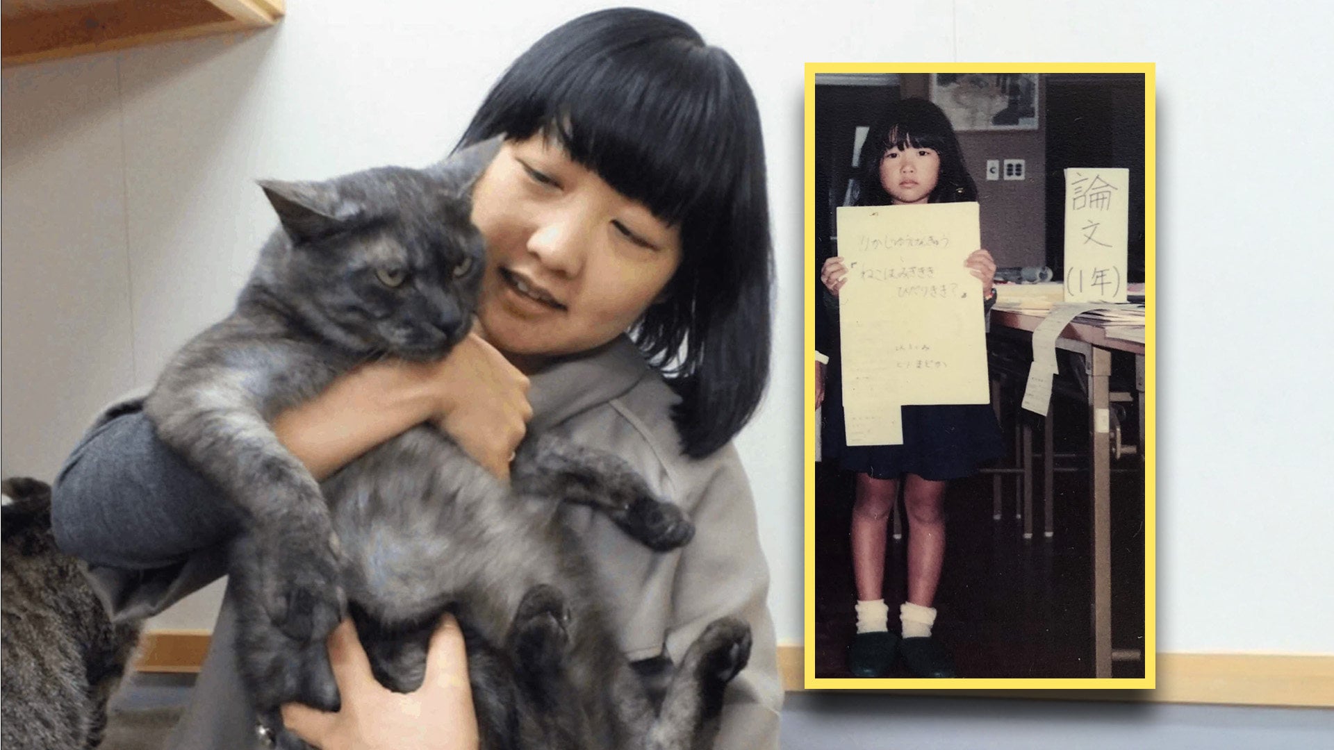 A Japanese PhD researcher has shared a paper on cat paw dominance she wrote as a child, sparking much interest and praise online. Photo: SCMP composite/note.com/QQ.com