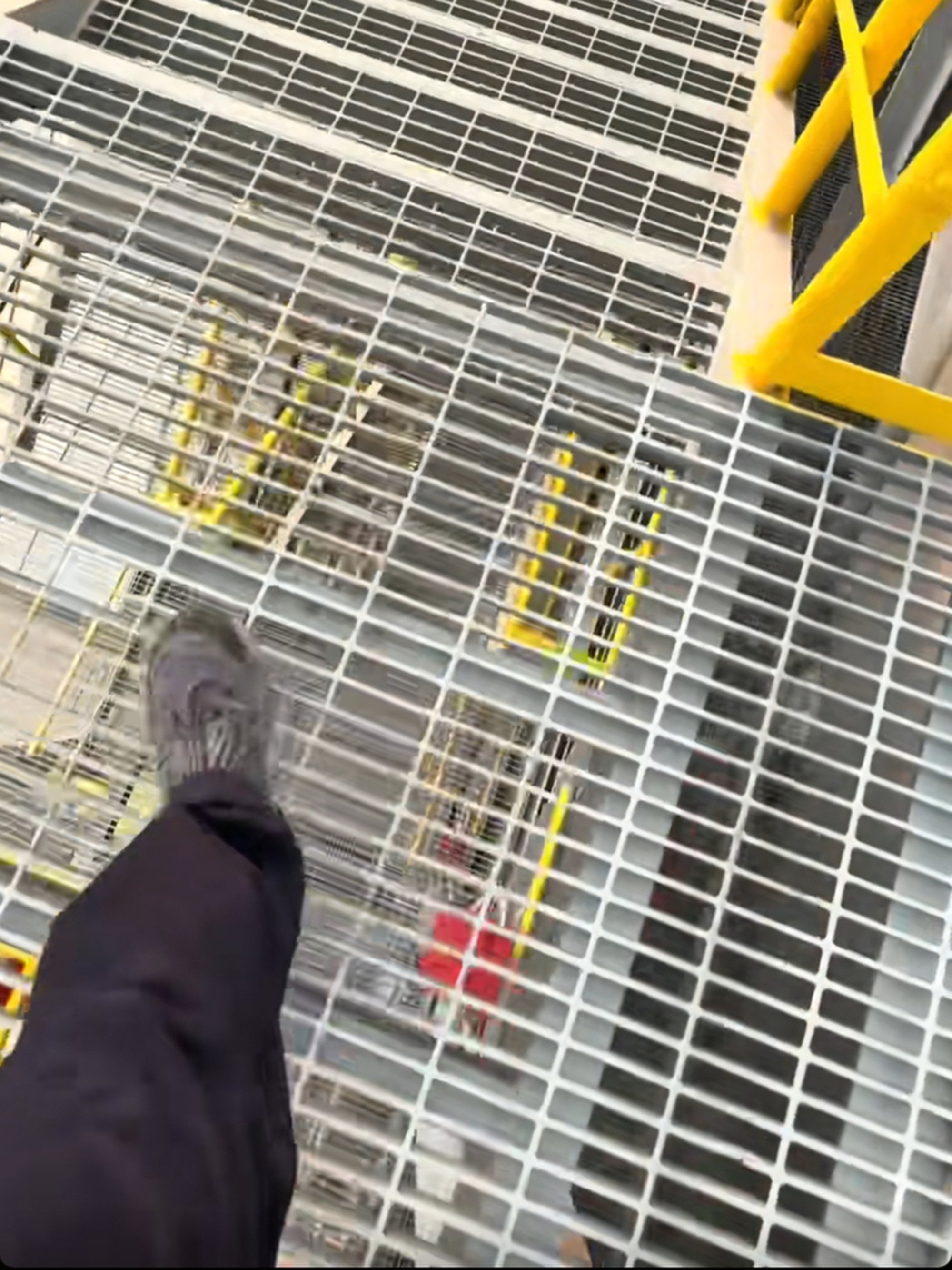 A grating panel reportedly gave way, sending the students plunging into the tank. Photo: Handout A grating panel reportedly gave way, sending the students plunging into the tank. Photo: Handout