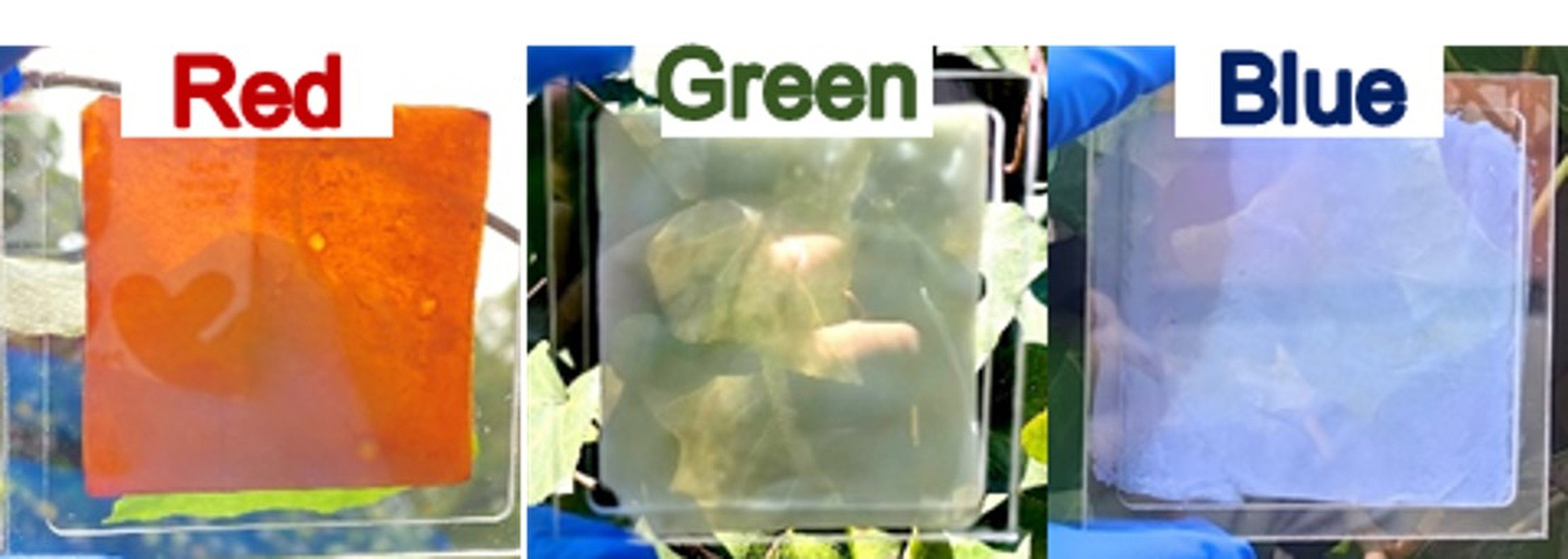 Researchers from Zhejiang University in eastern China have developed a  technique that enables the creation of aerogels with an internal dome-like cellular structure. Photo: Handout