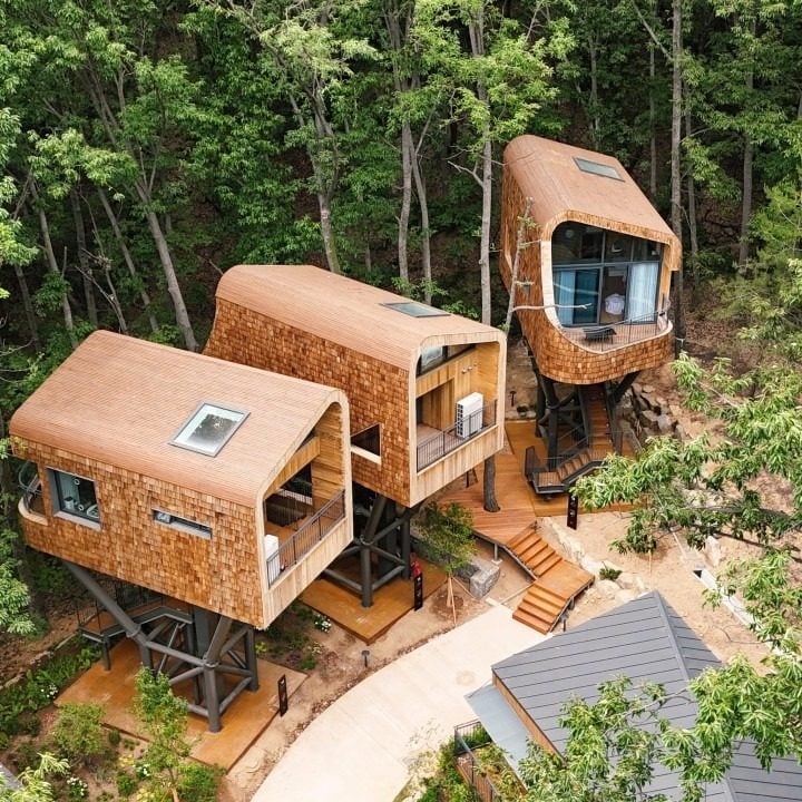 The three tree houses at Surak Hyu in Seoul, South Korea, are each perched on a steel frame 12 to 14 metres above the ground, giving the impression of floating among the trees. Photo: Instagram/paragonstar_