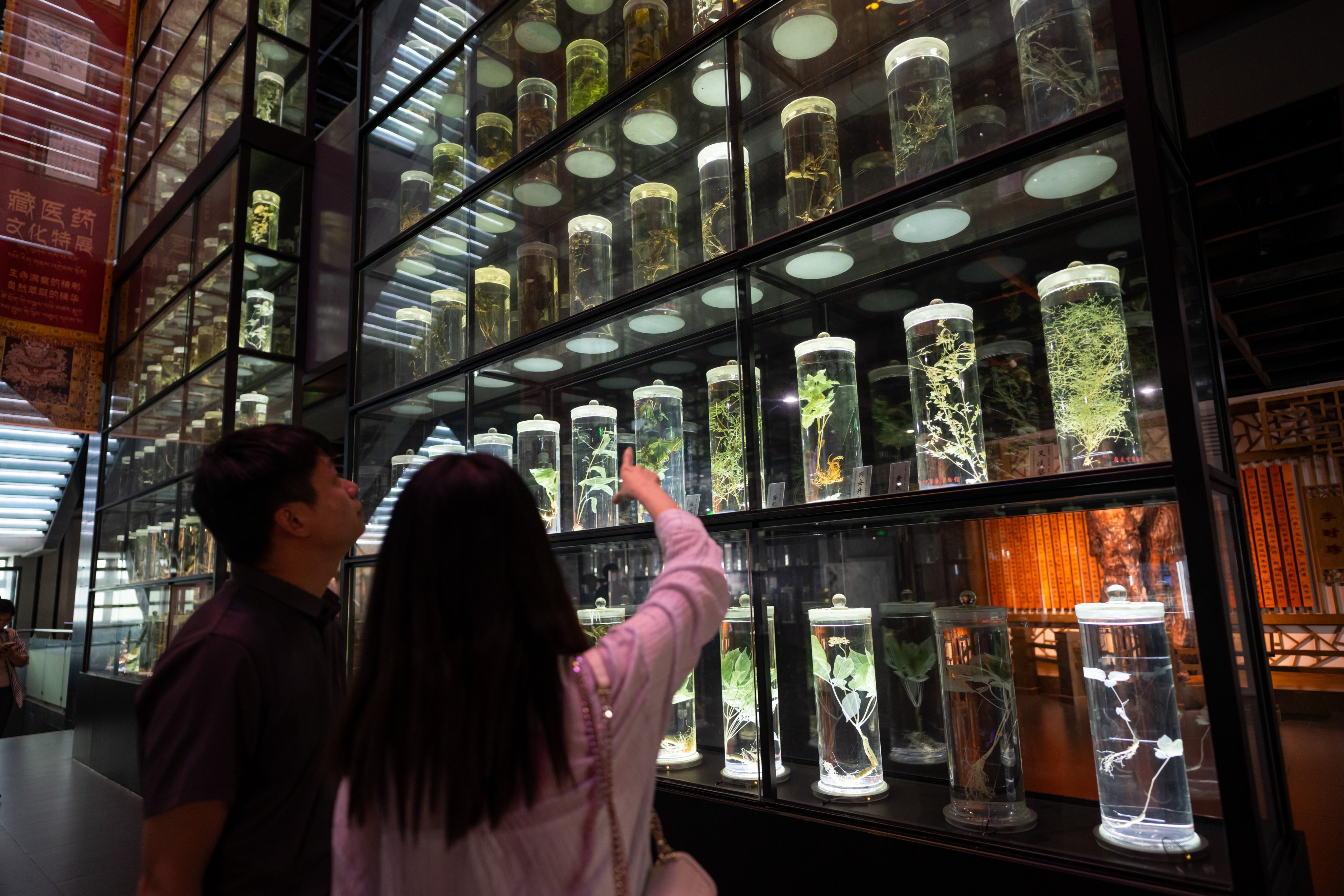 The Guangdong Chinese Medicine Museum in Guangzhou, China. Photo: Getty Images
