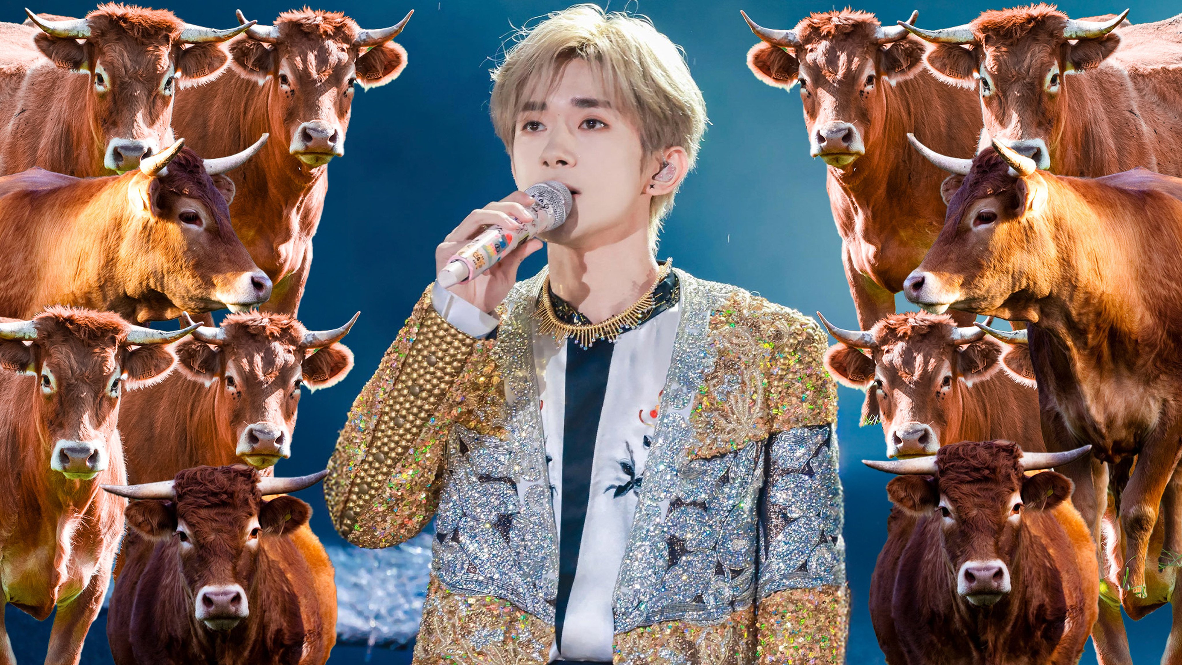The organisers of a sell-out concert in China have caused a storm after they offered prestige tickets for people who pay to “adopt” calves. Photo: SCMP composite/Shutterstock/IG@tfboysfans1128_qianxi