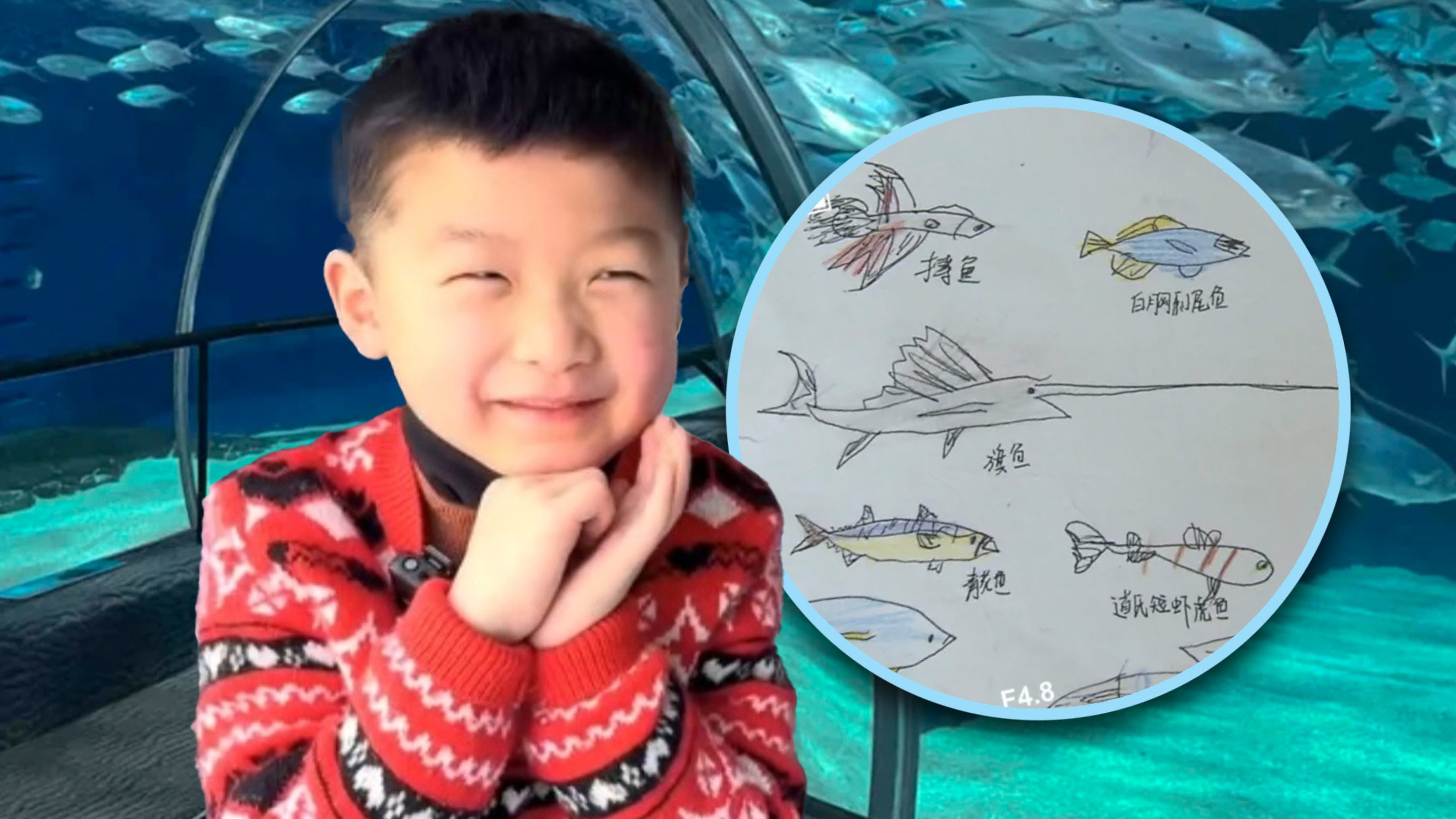 A fish-mad six-year-old boy from Shanghai who wrote to an aquarium park after he noticed some sea life was missing has won many hearts online.Photo: SCMP composite/gmw.cn/QQ.com/RedNote