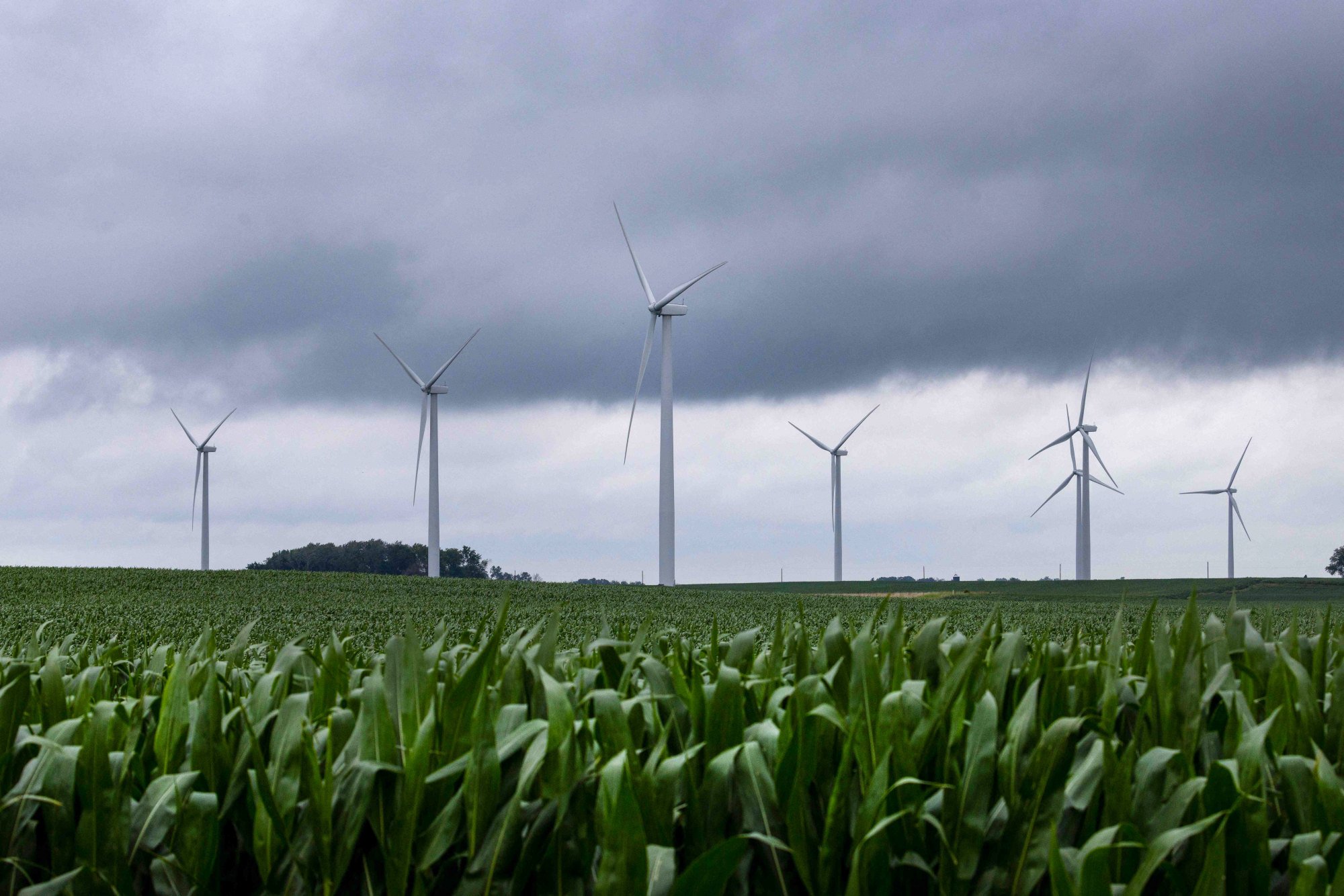 The Trump administration’s One Big Beautiful Bill Act has eliminated tax credits that helped to spur the growth of wind and solar energy production in the US. Photo: AFP The Trump administration’s One Big Beautiful Bill Act has eliminated tax credits that helped to spur the growth of wind and solar energy production in the US. Photo: AFP