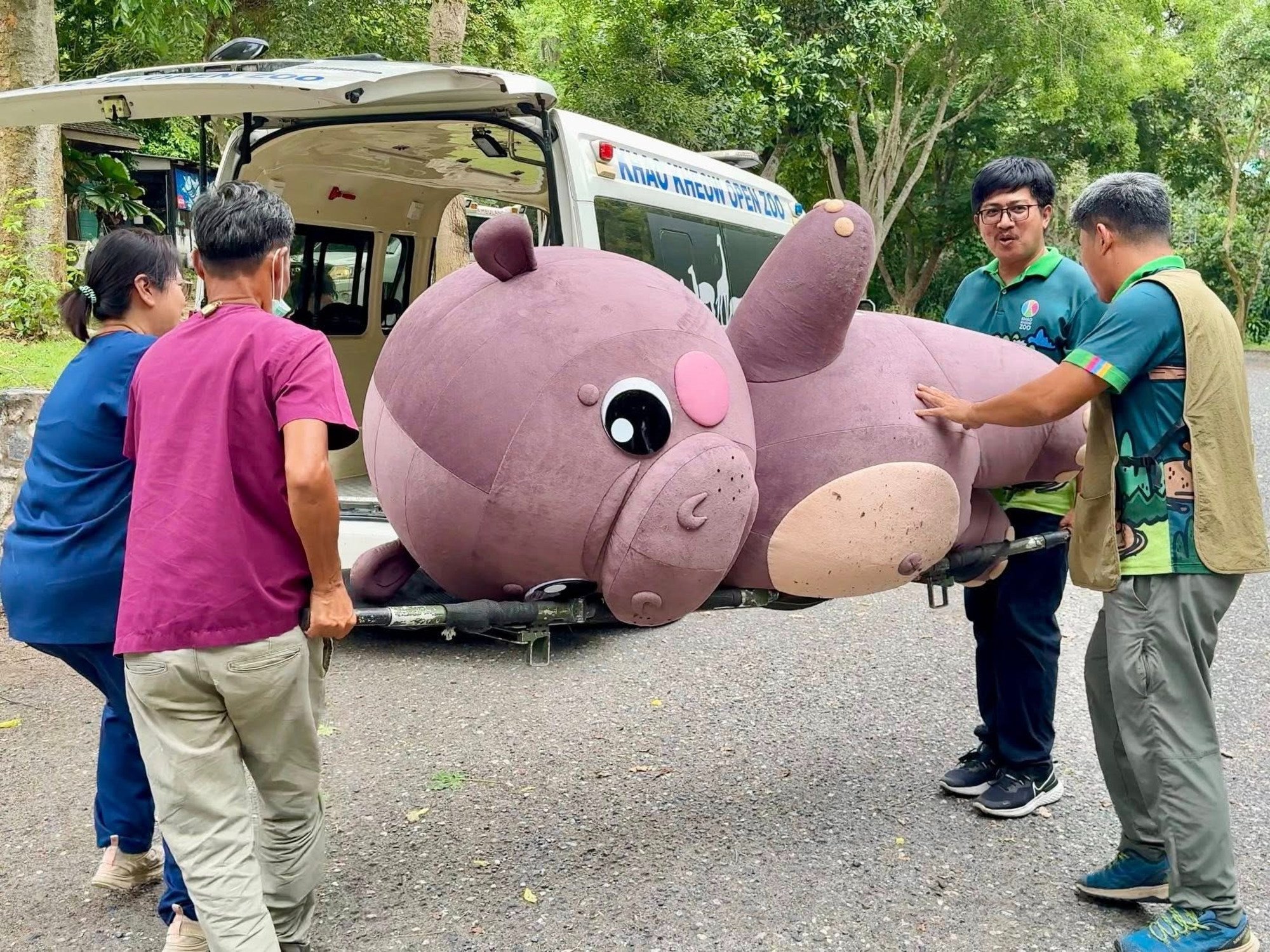 The Moo Deng mascot is carried away on a stretcher by zoo staff after her exertions during the safety drill. Photo: handout The Moo Deng mascot is carried away on a stretcher by zoo staff after her exertions during the safety drill. Photo: handout