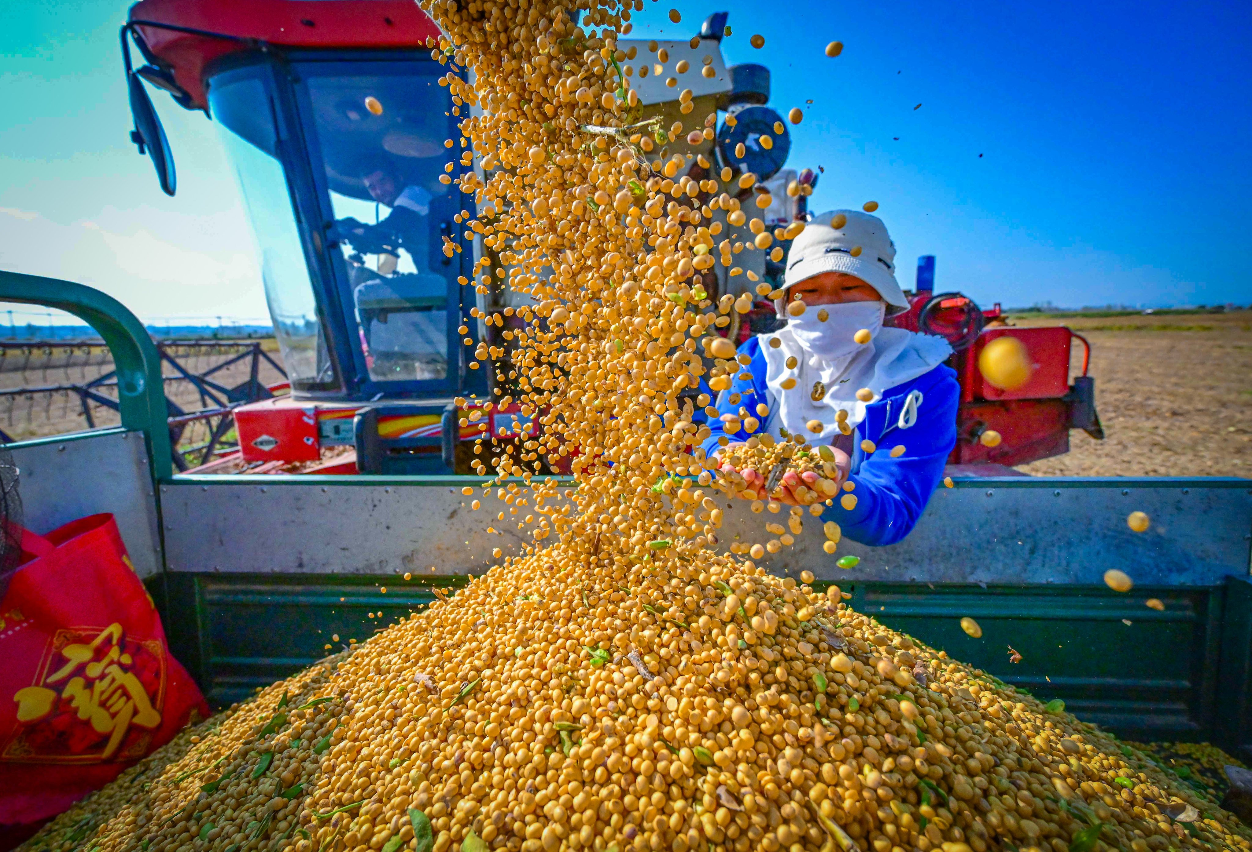 A farmer checks newly harvested soybeans in central China’s Henan province. China’s actions in Angola highlight its strategic shift towards Africa for food security, especially given recent trade tensions with the United States. Photo: Xinhua