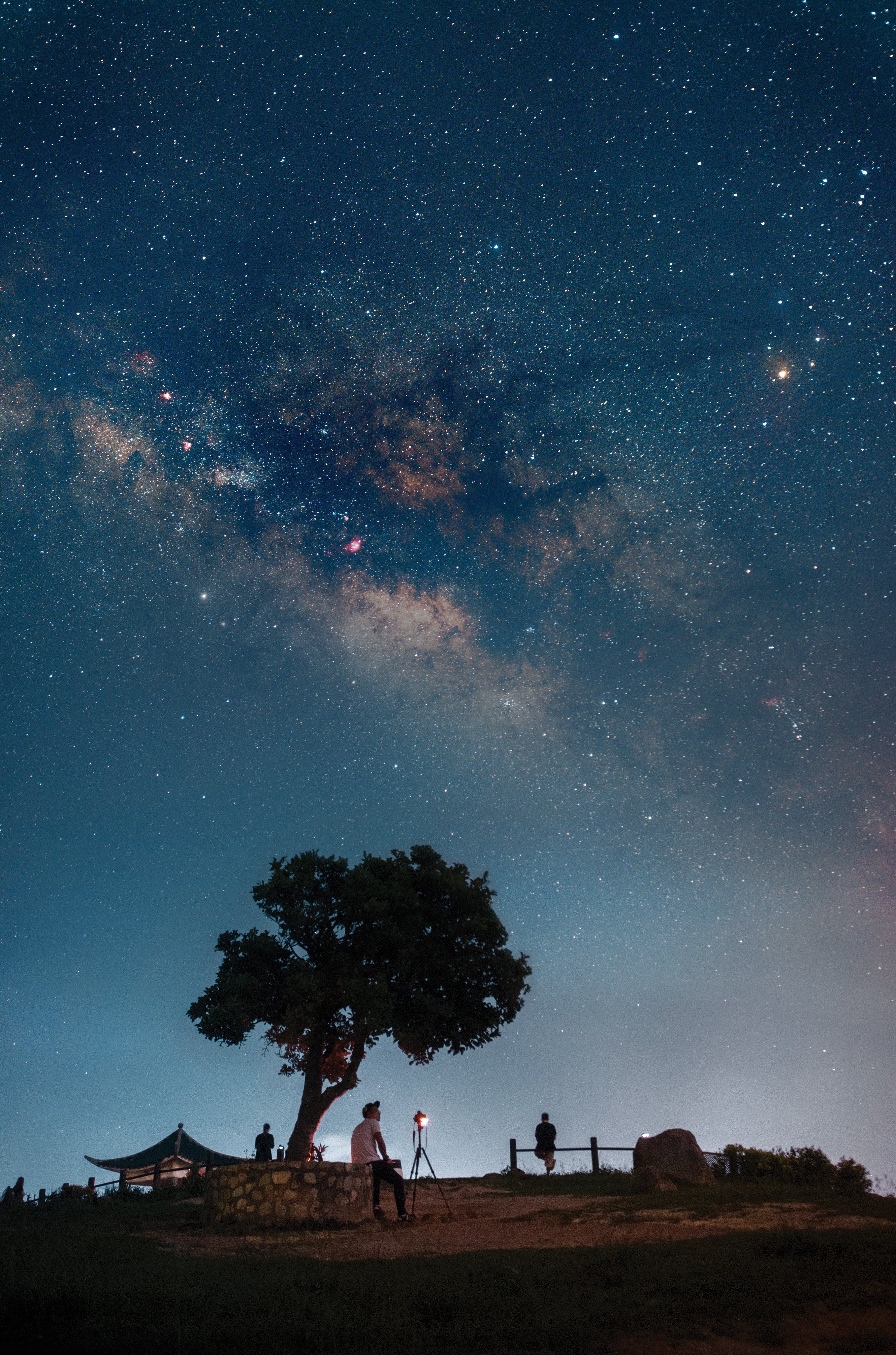 Night-time star trails photographed at Hong Kong’s Astro Park near High Island Reservoir in Sai Kung. Photo: Hong Kong Space Museum