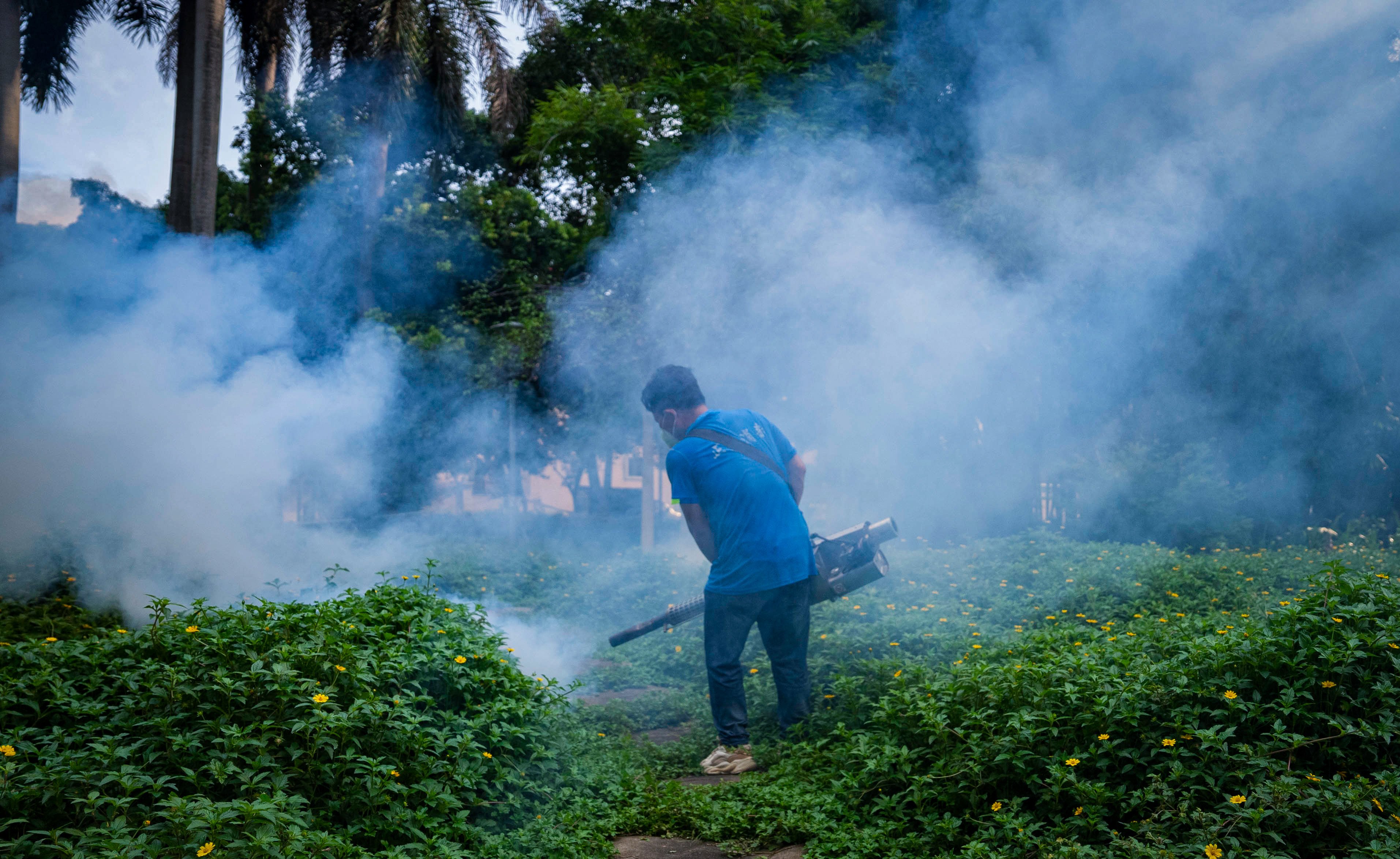 Foshan is at the centre of the latest outbreak. Photo: Getty Images