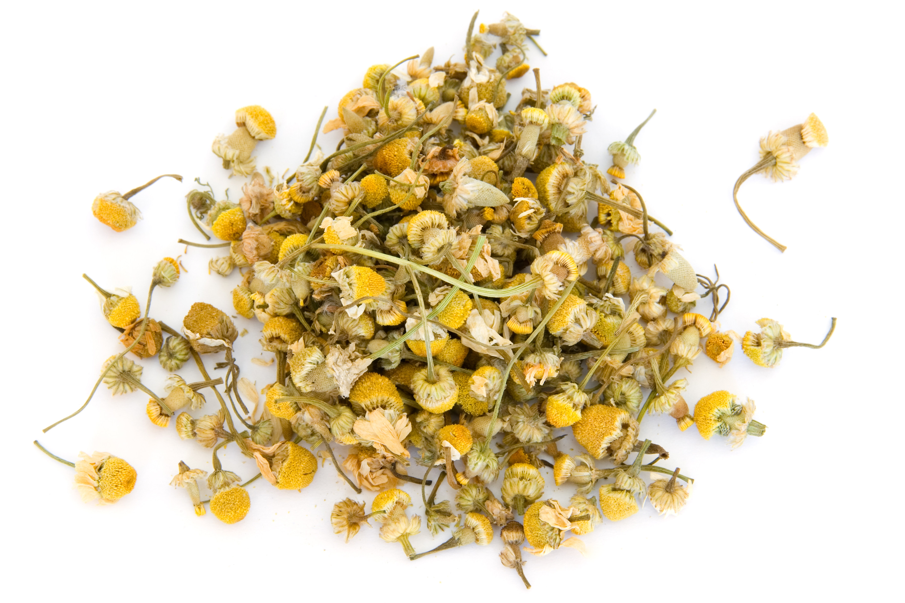 Chamomile is valued in both European and Chinese wellness and culinary traditions. Photo: Getty Images