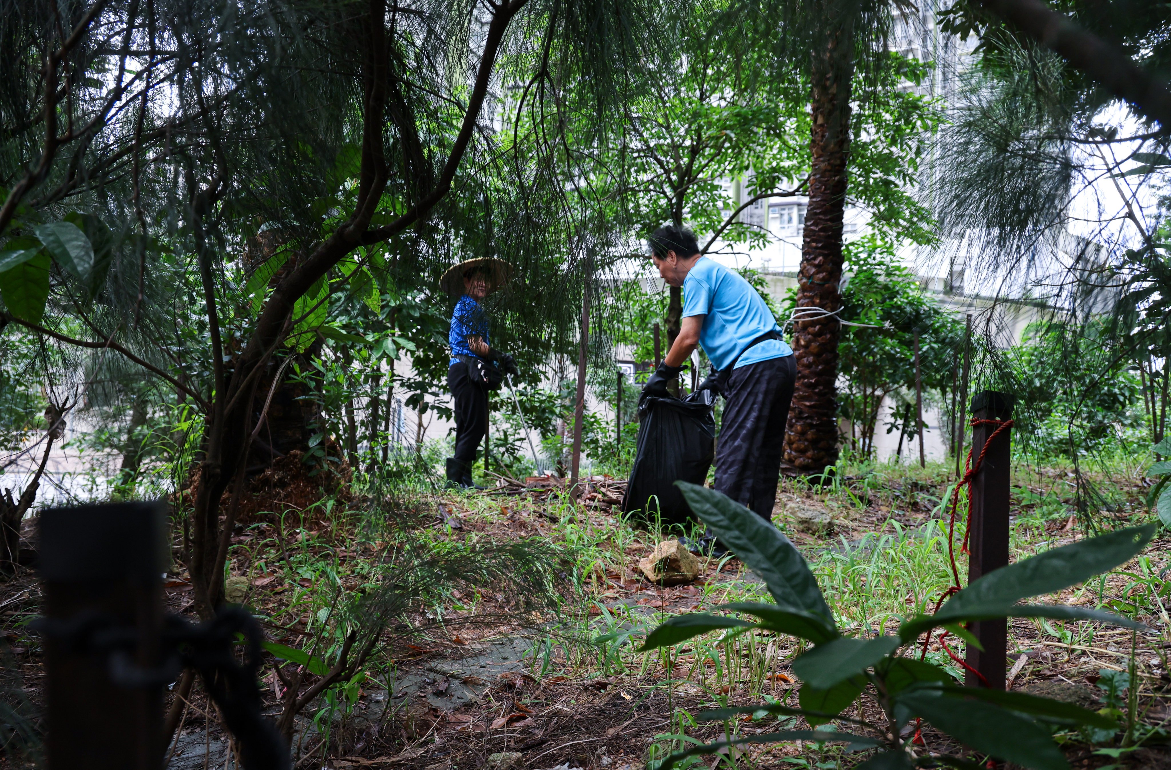 An expert has said that the most effective prevention against the disease is to avoid bites from mosquitoes and curb their breeding. Photo: Dickson Lee