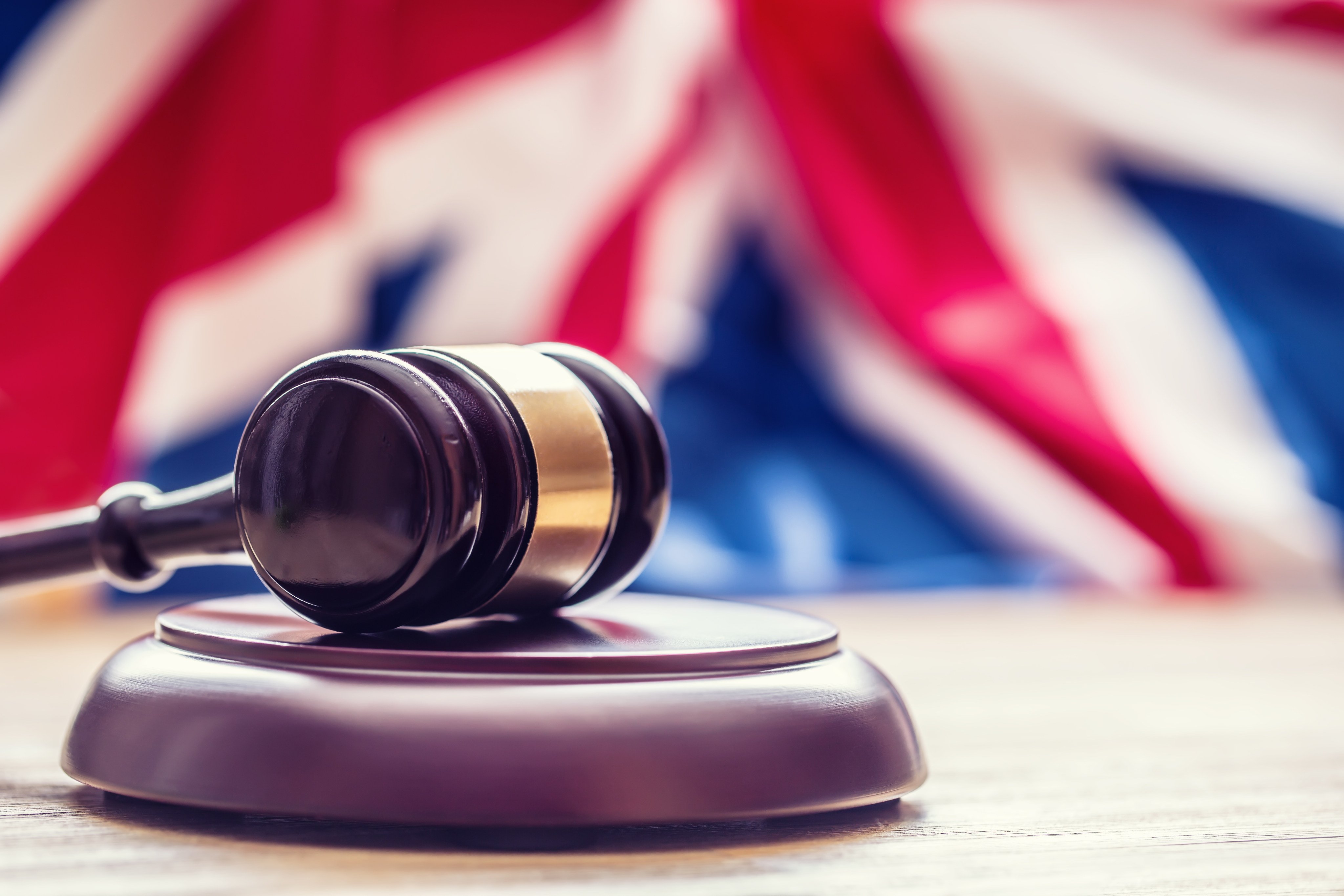 Two British teenagers were jailed on Monday for the torture and killing of two kittens. Photo: Shutterstock