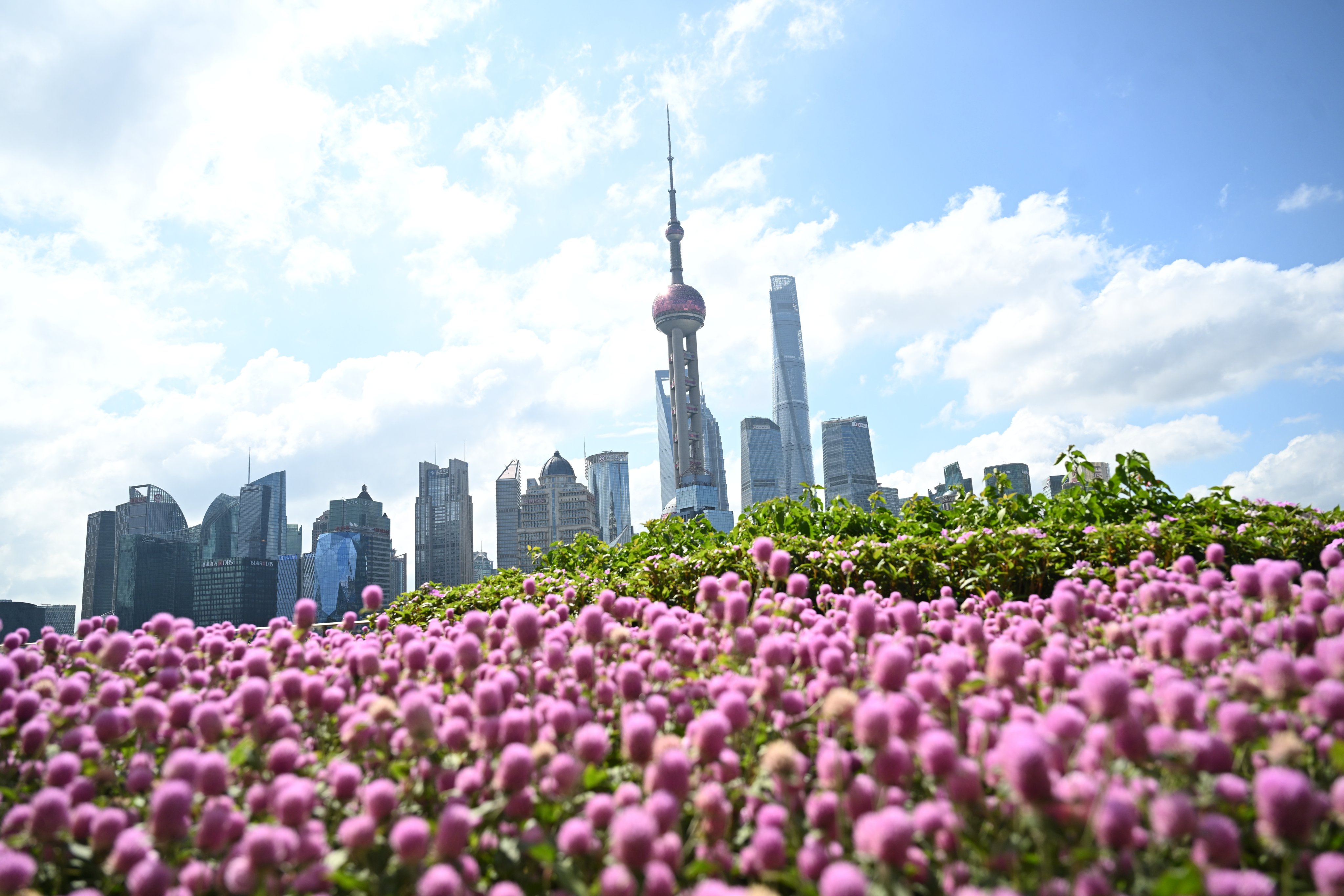 Shanghai plans to build five new data centres by the end of this year. Photo: EPA