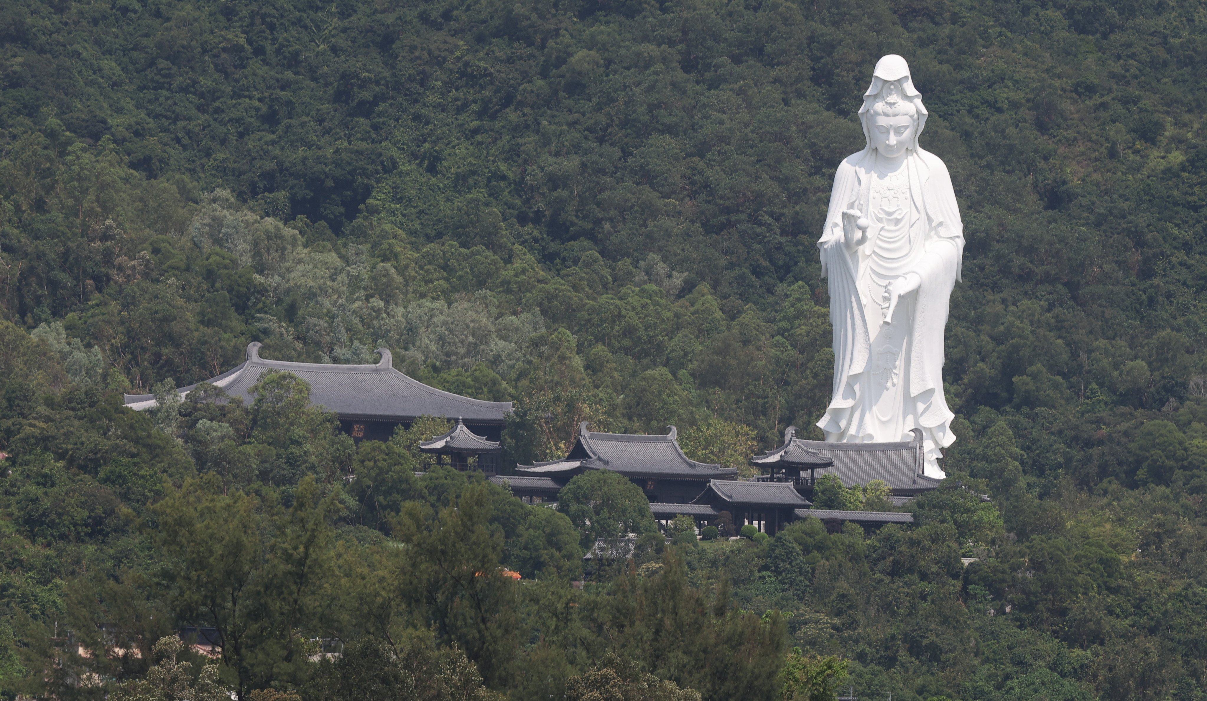 The Tsz Shan Monastery in Tai Po. Photo: Edmond So