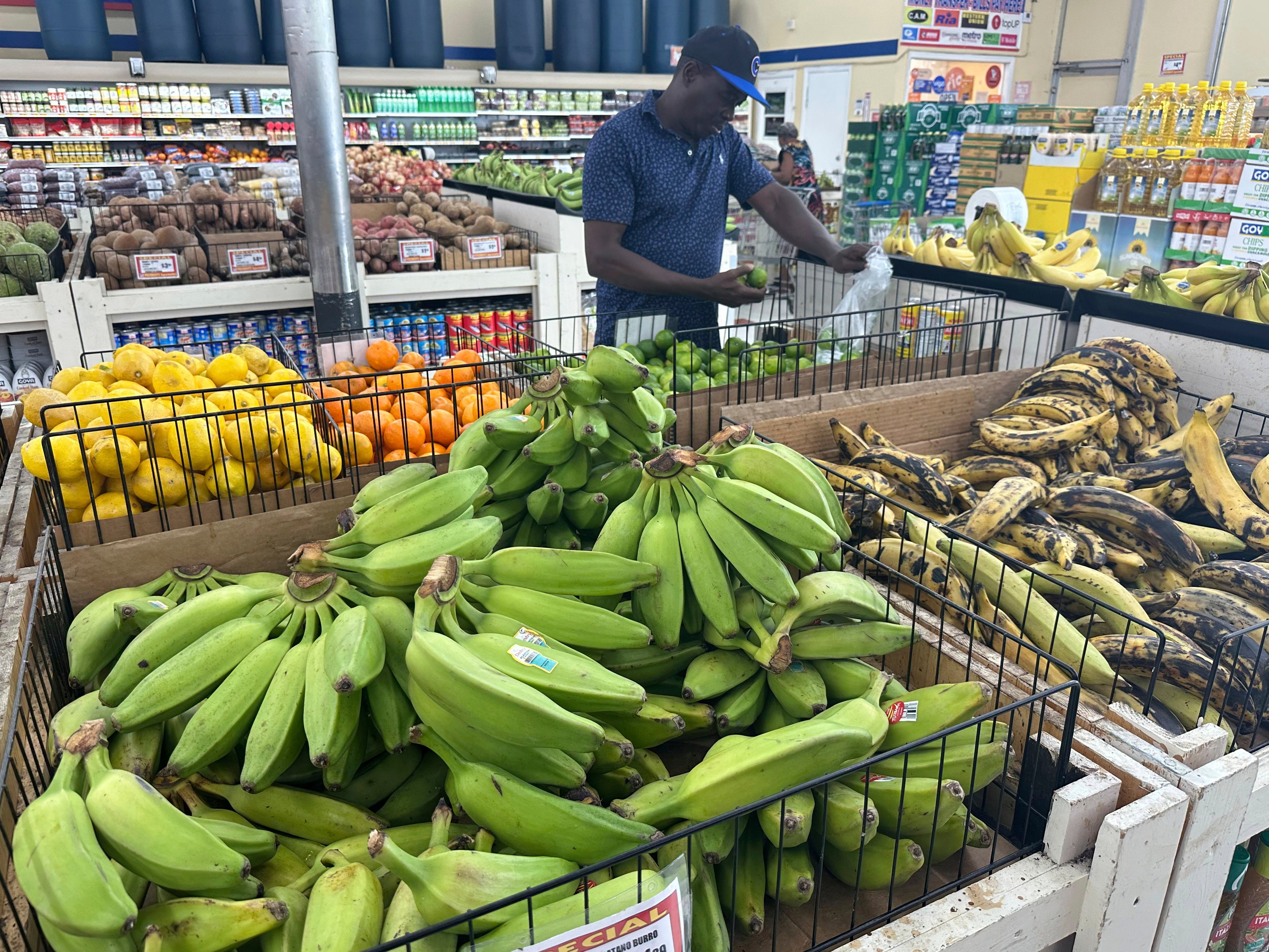 A shopper picks lemons at a supermarket in Miami, Florida, in the United States on August 6. Photo: AP