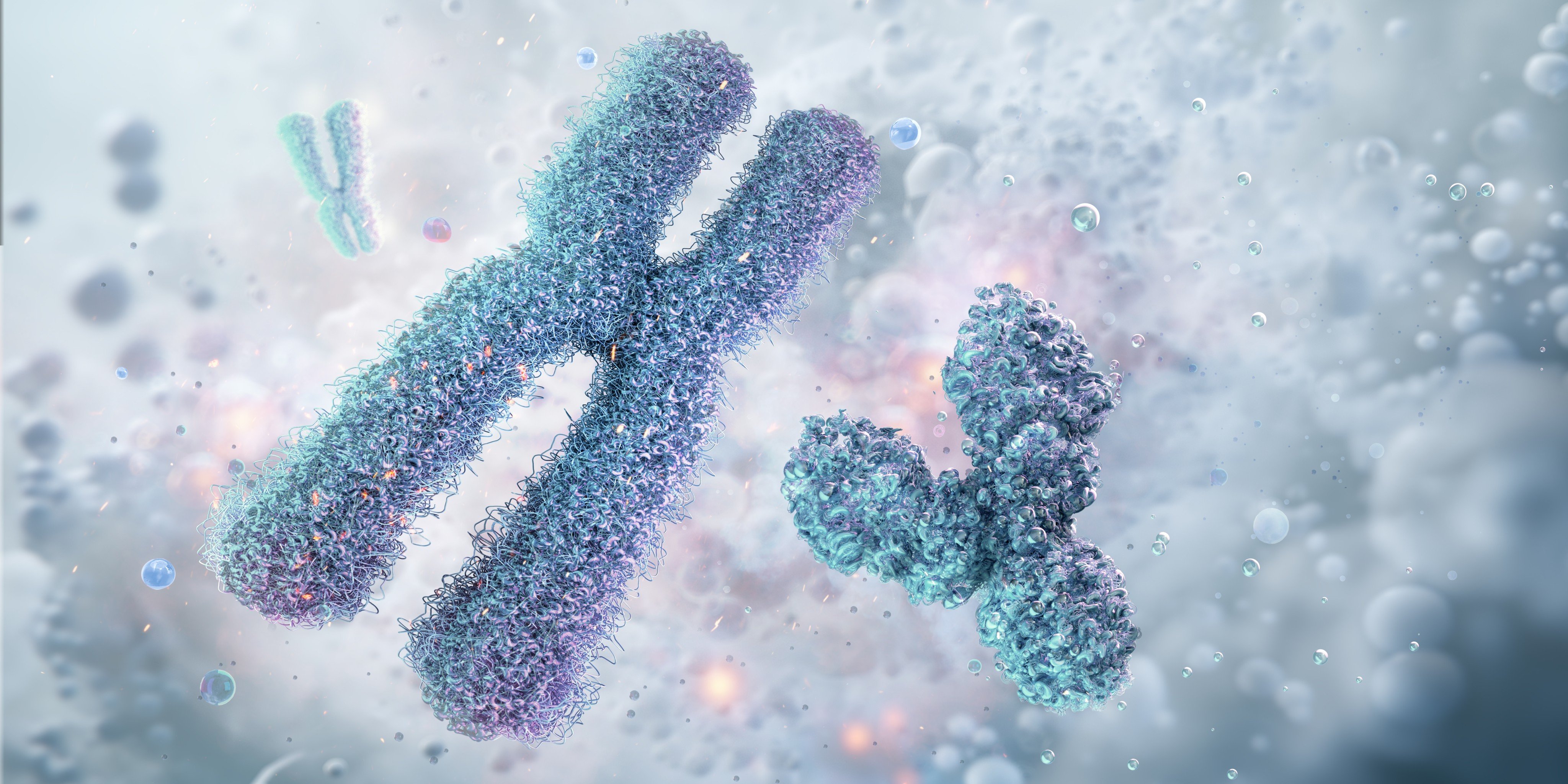 A new gene-editing tool developed in China, known as Programmable Chromosome Engineering, could help lay the foundation for future genetic engineering advances in biomedicine and agriculture. Photo: Shutterstock Images